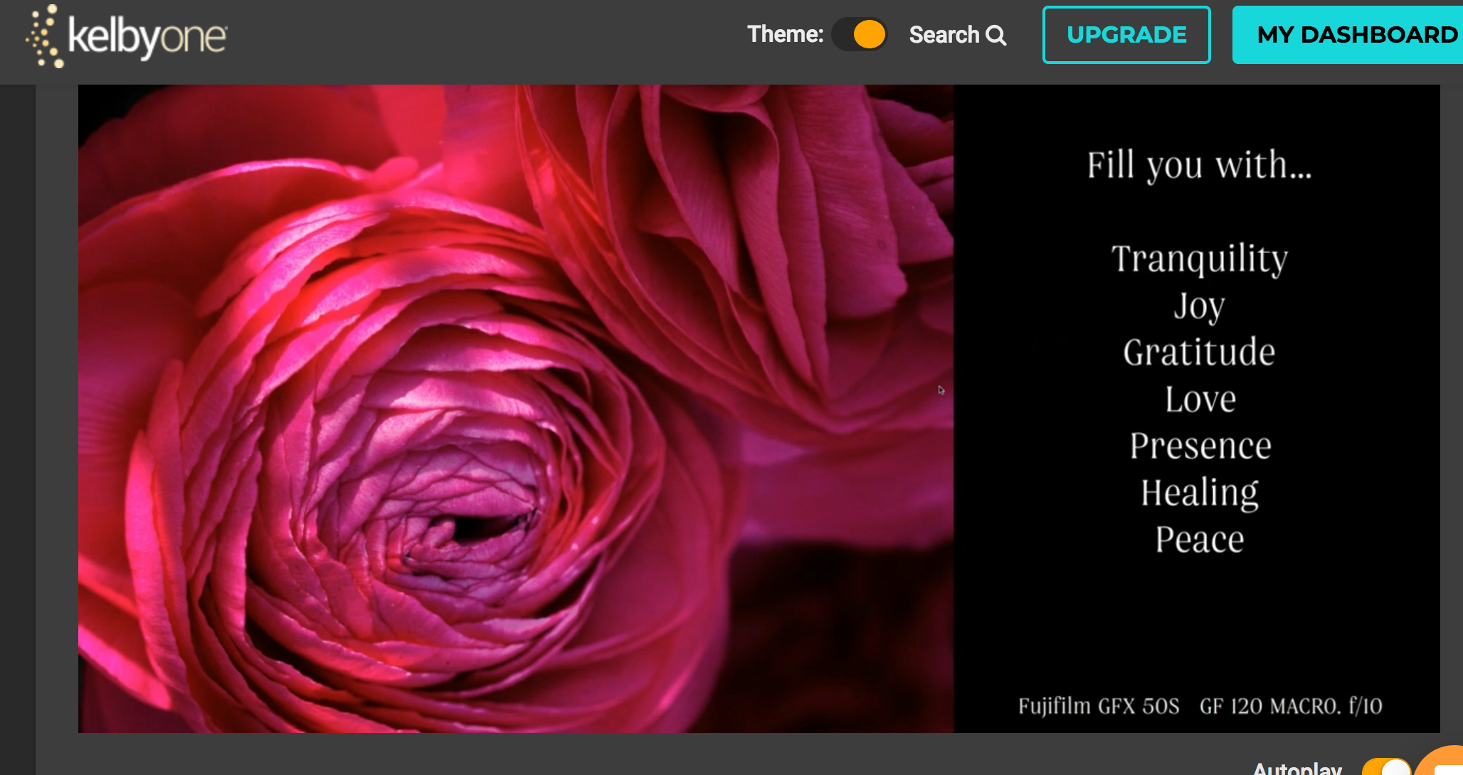 KelbyOne on-line course on close-up photography