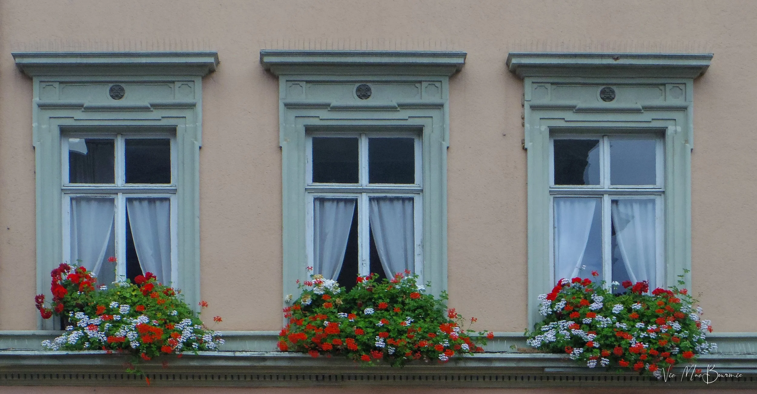 Window Box trio-1.jpg