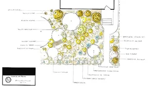 Creating more sustainable garden designs — FERNS & FEATHERS