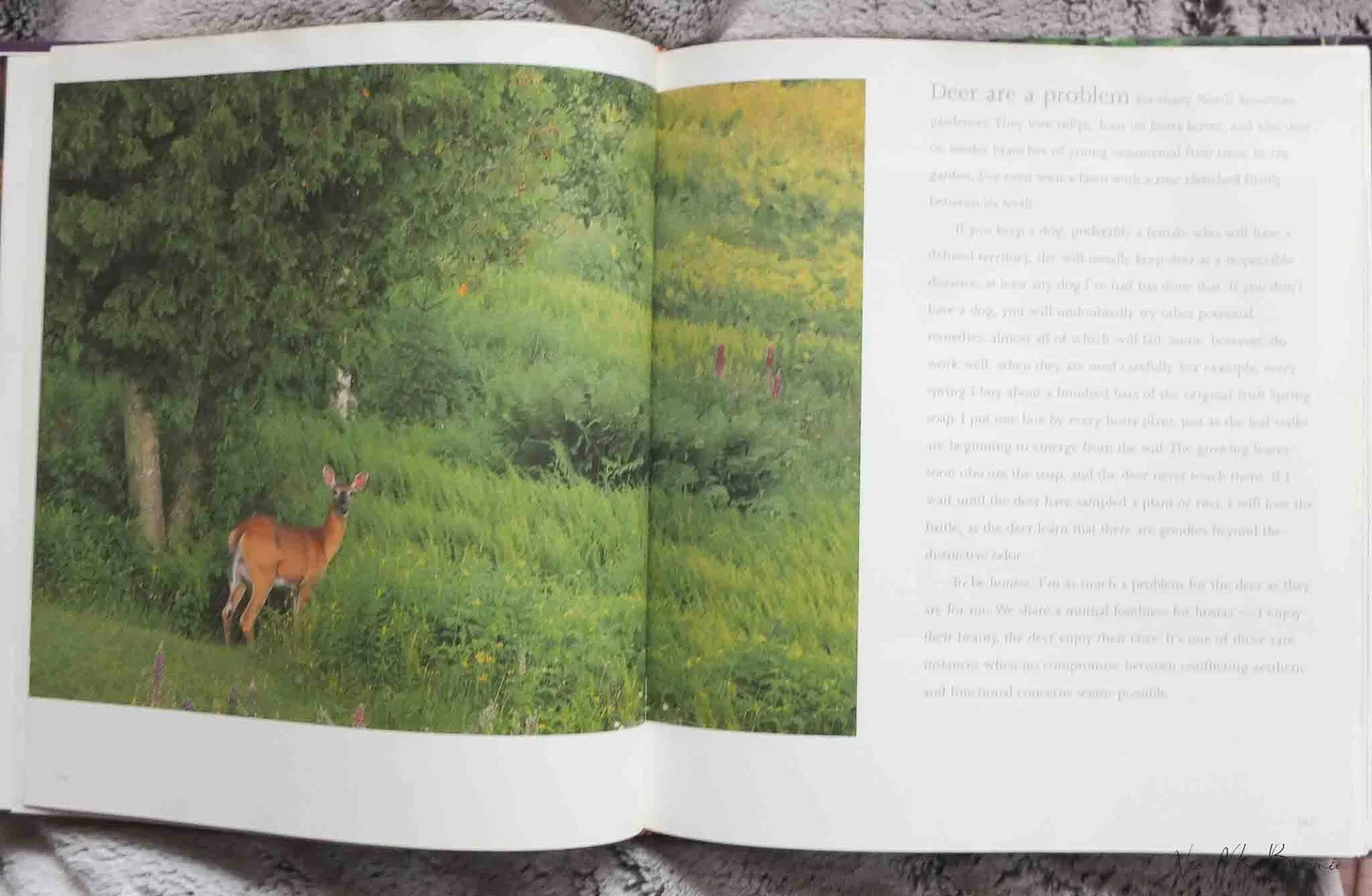 The Garden: Artist Freeman Patterson shares his two passions gardening ...