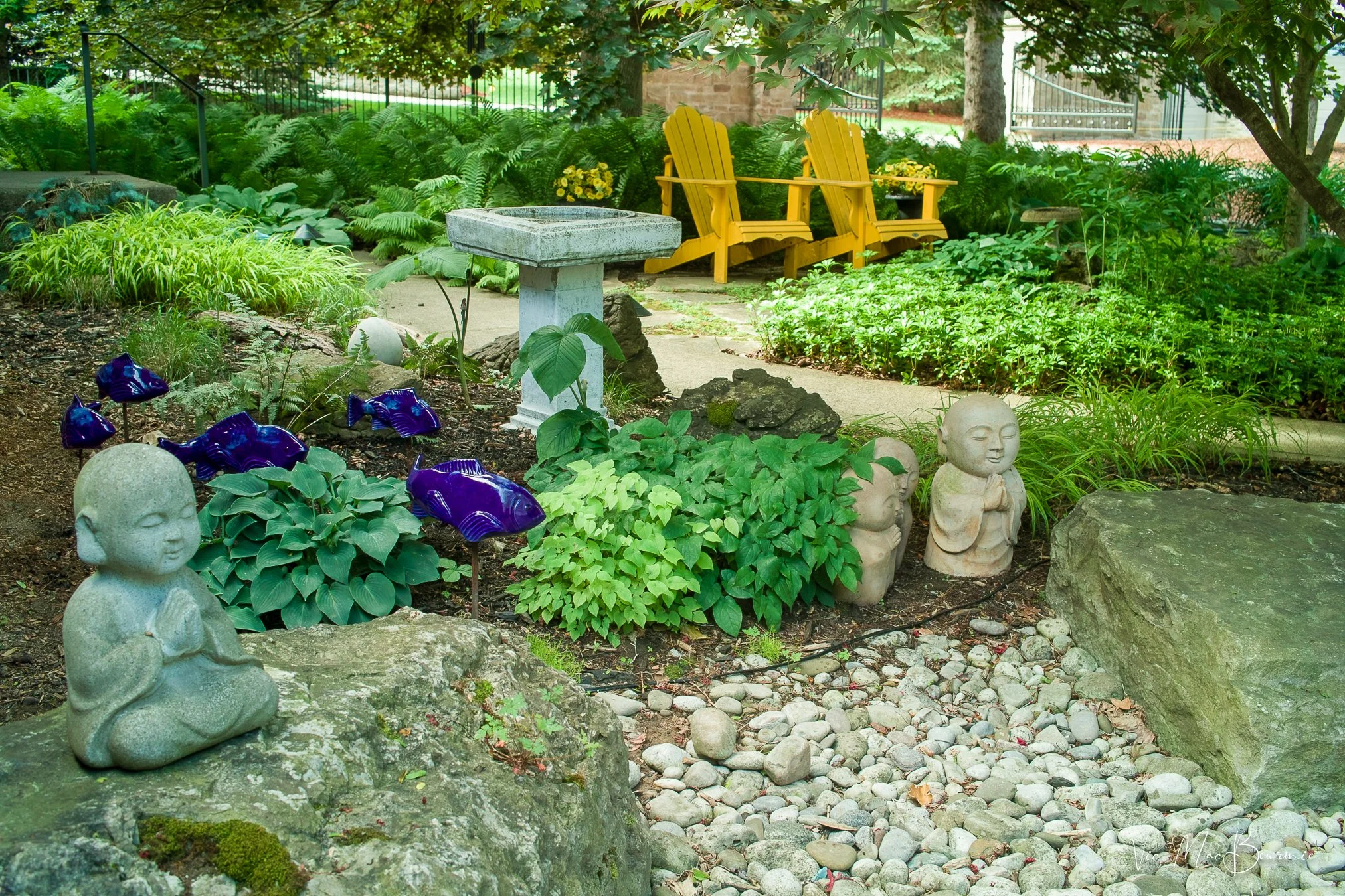 Front garden. Sigma DP2: 1/10th sec/ f5.6/ iso 100