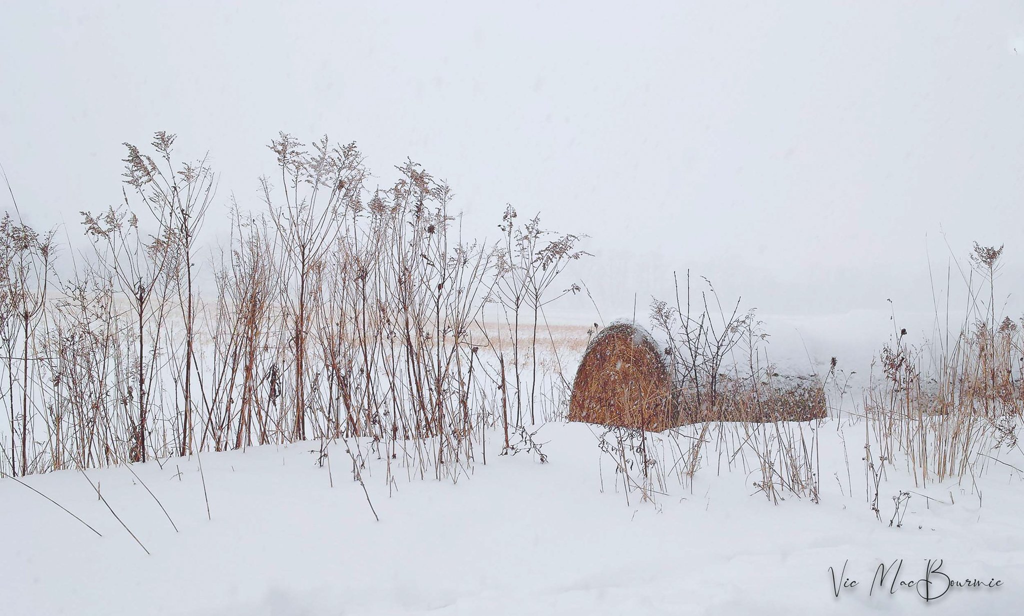 Hay bale in winter. Sigma DP2: 160 sec/ f7.1/ iso 100. 