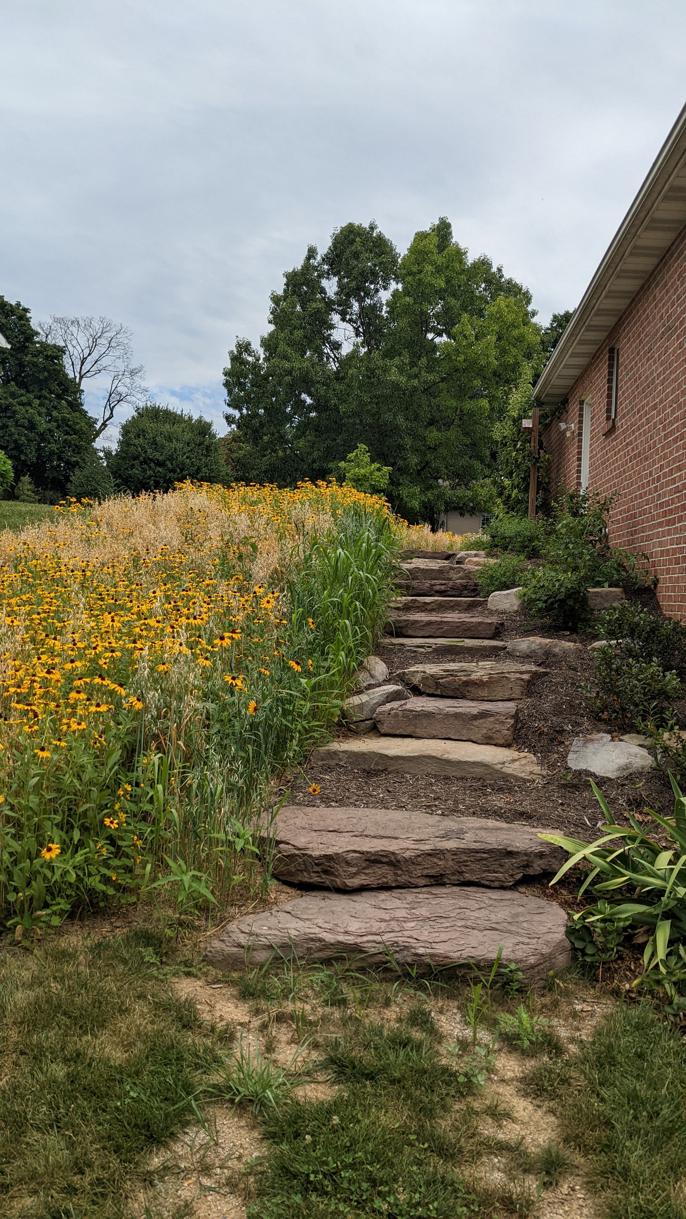 Stairs lead viewers beside the impressive meadow garden.