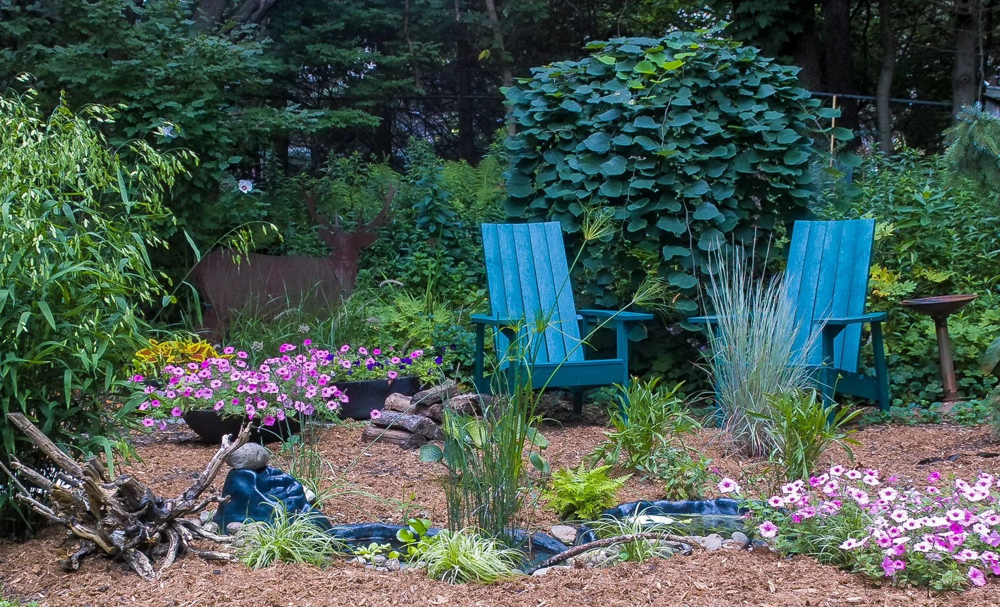 Small wildlife ponds are tucked away in a corner of the back woodland garden.