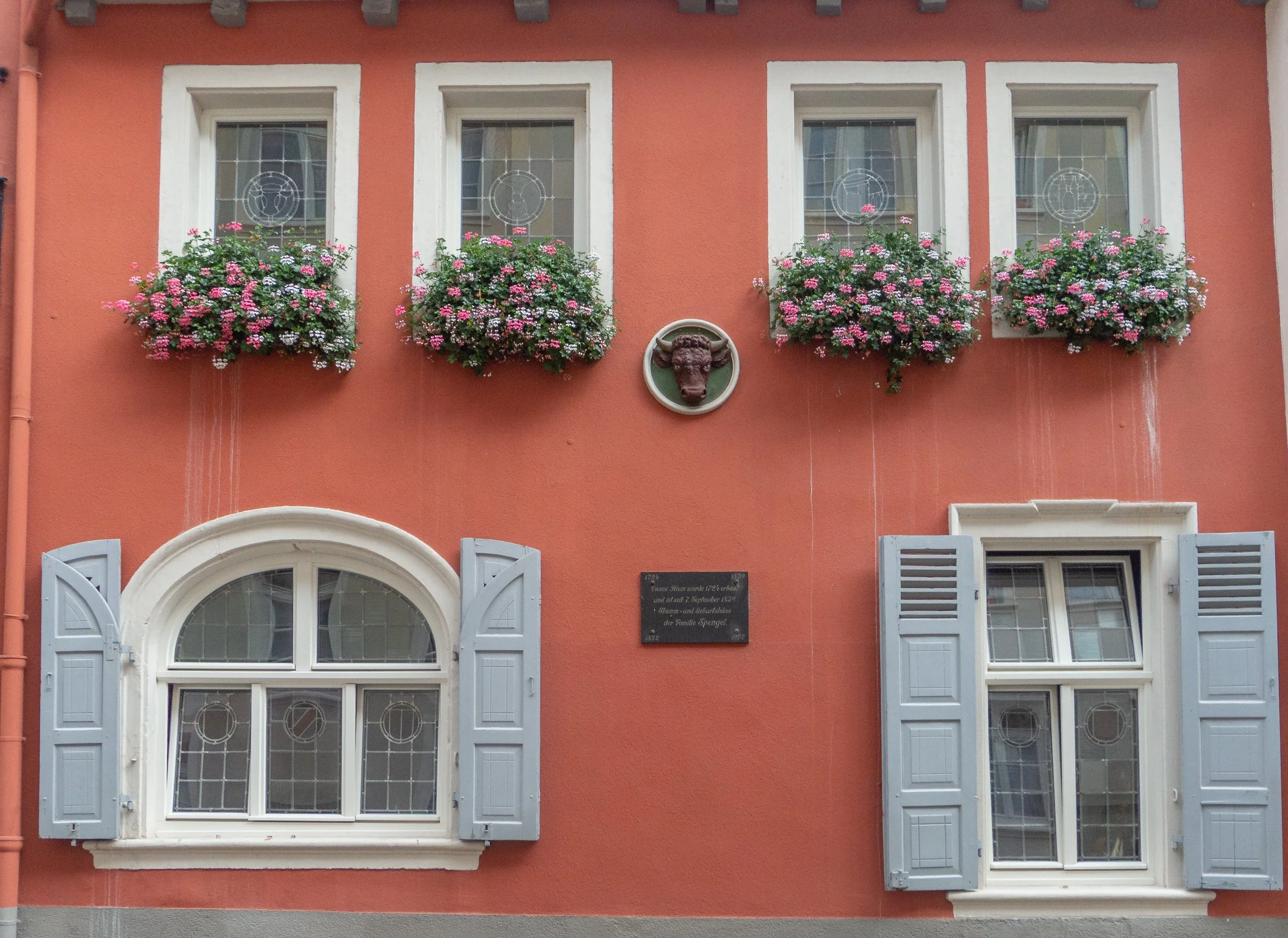 window boaxes etc-1.jpg