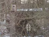 Fallen tree transforms woodland Garden: Increased wildlife from birds ...