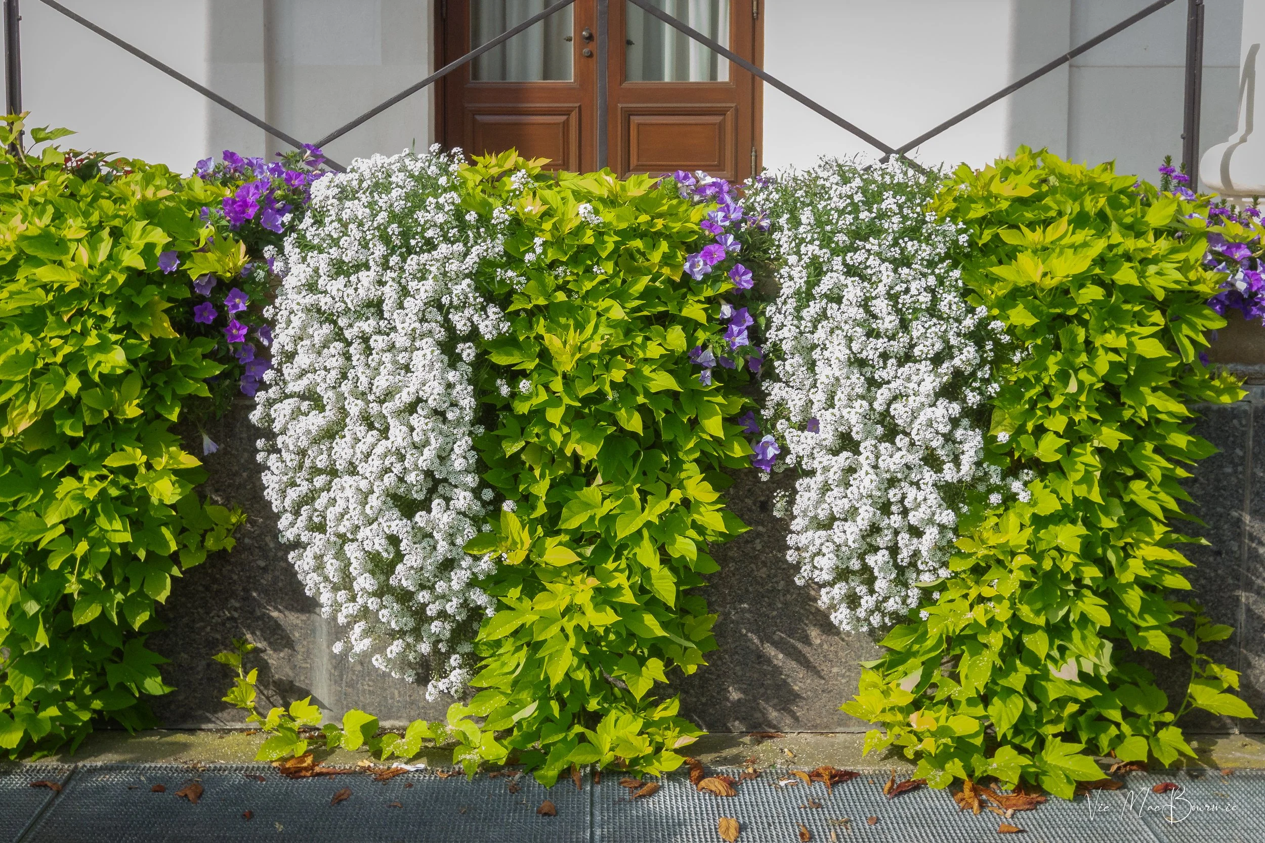 gardens-1.jpg