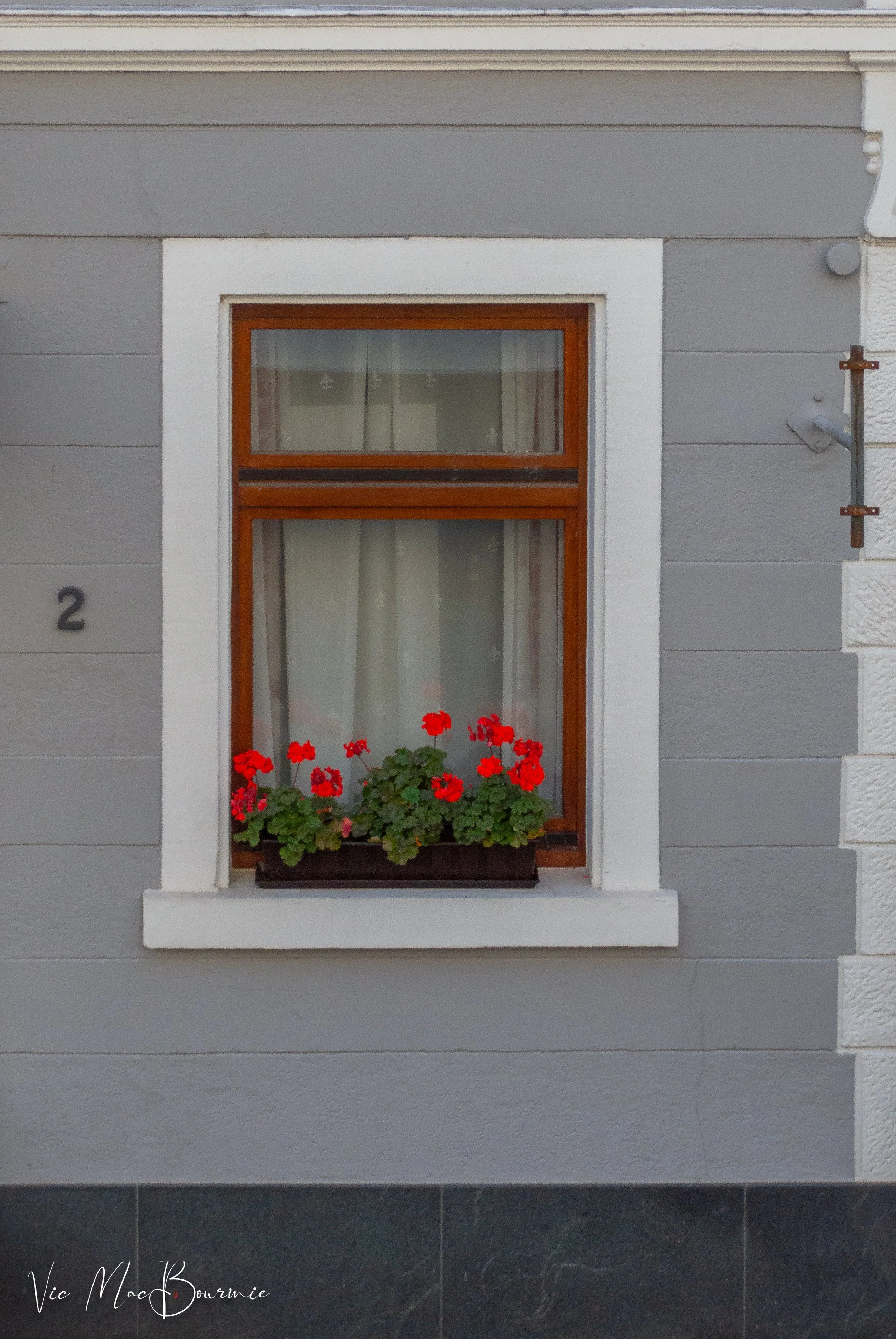 balconies and window boxes2-1.jpg