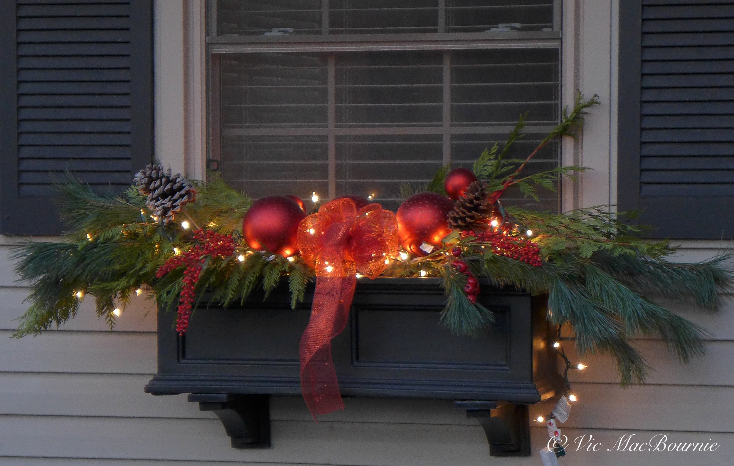 These Mayne window boxes add a festive mood and a warm welcome to the front garden.