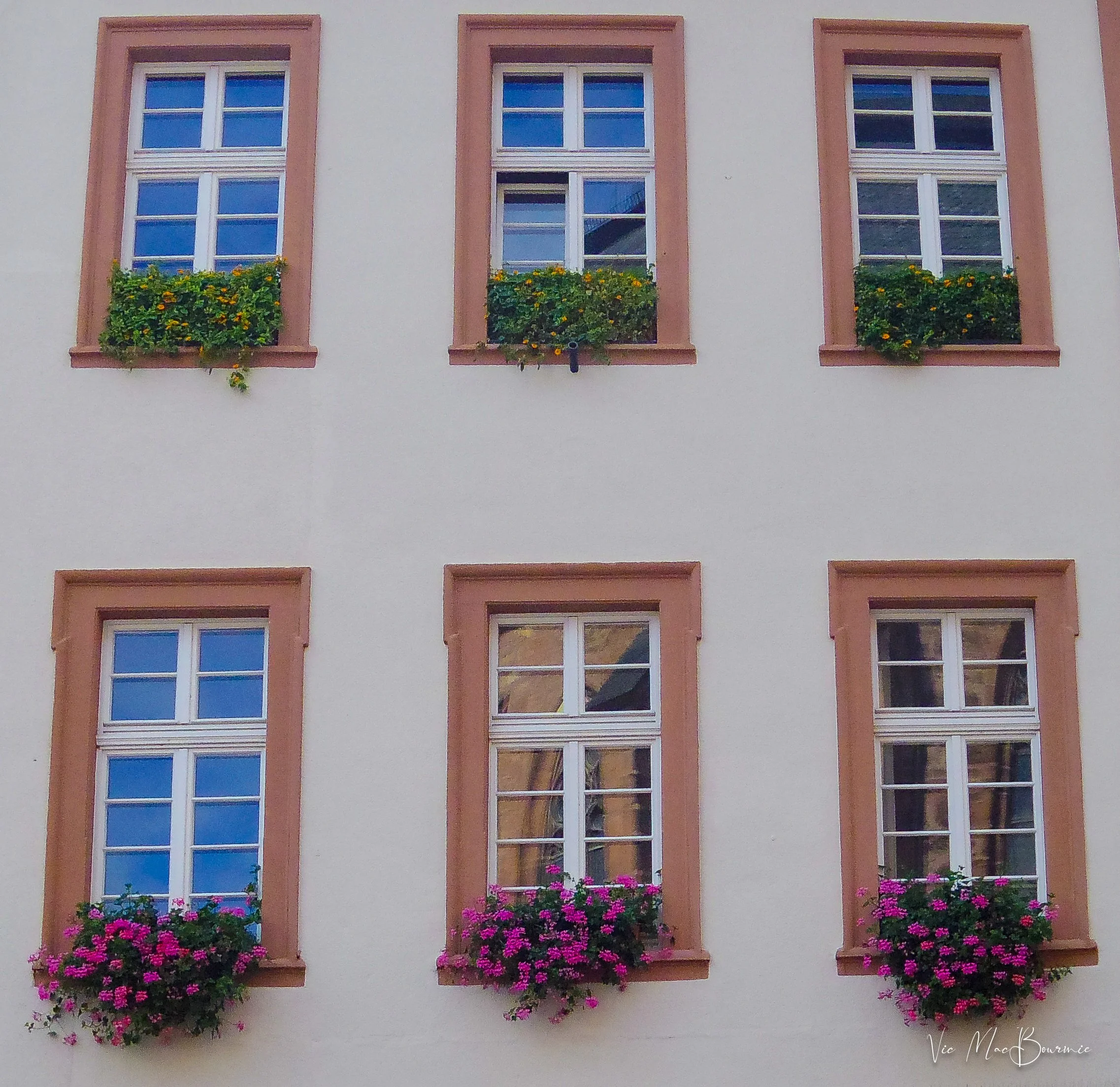 Window boxes5-1.jpg