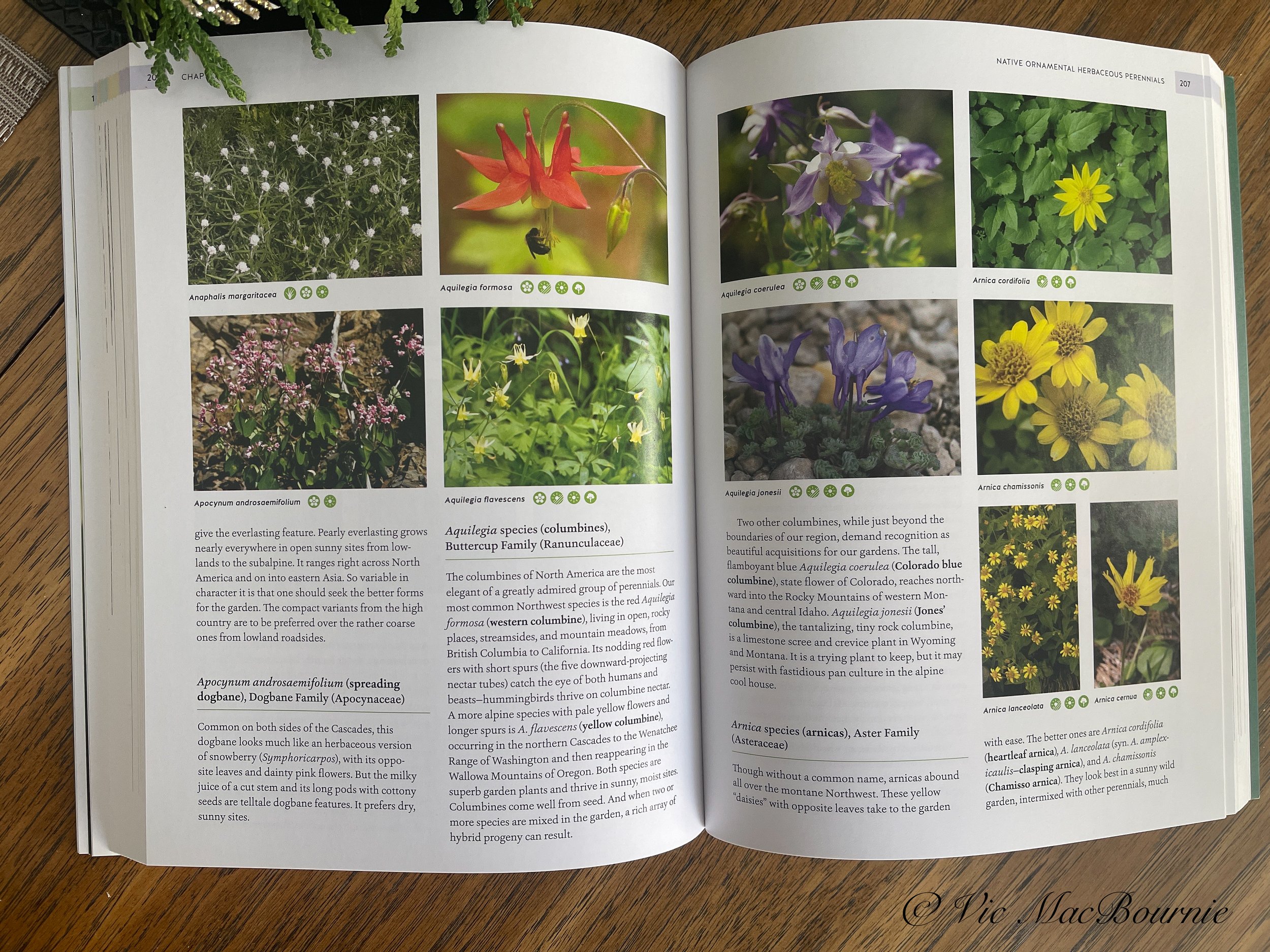 An example of the attention to detail in the book including the small green icons under the pictures that establishes the best locations to plant these individual plants.