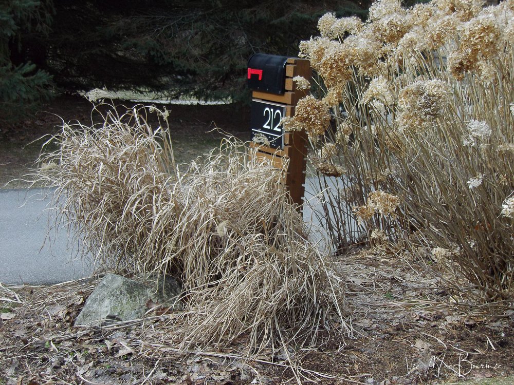 Pentax VS20: A CCD-sensored  travel camera ahead of its time