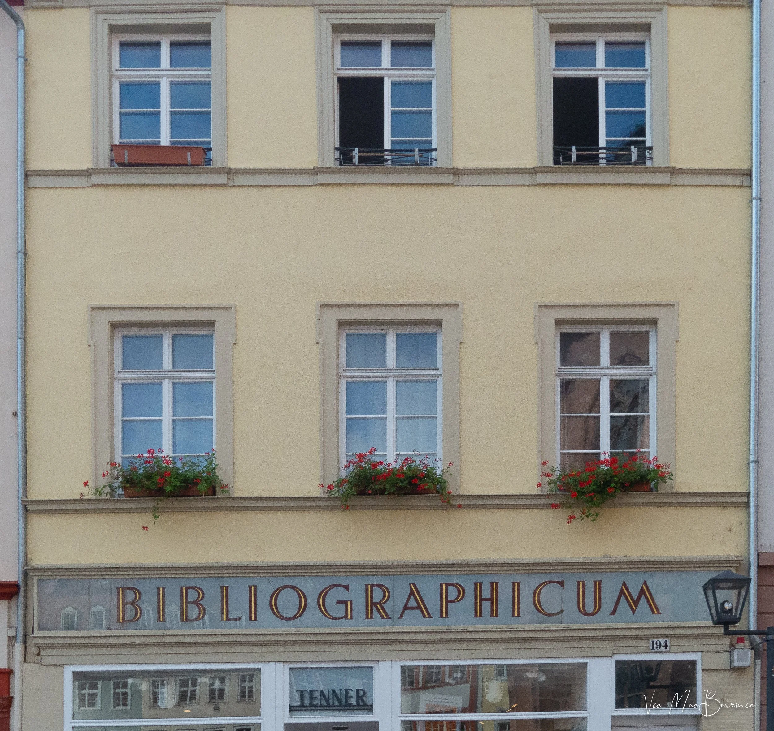 library-1.jpg