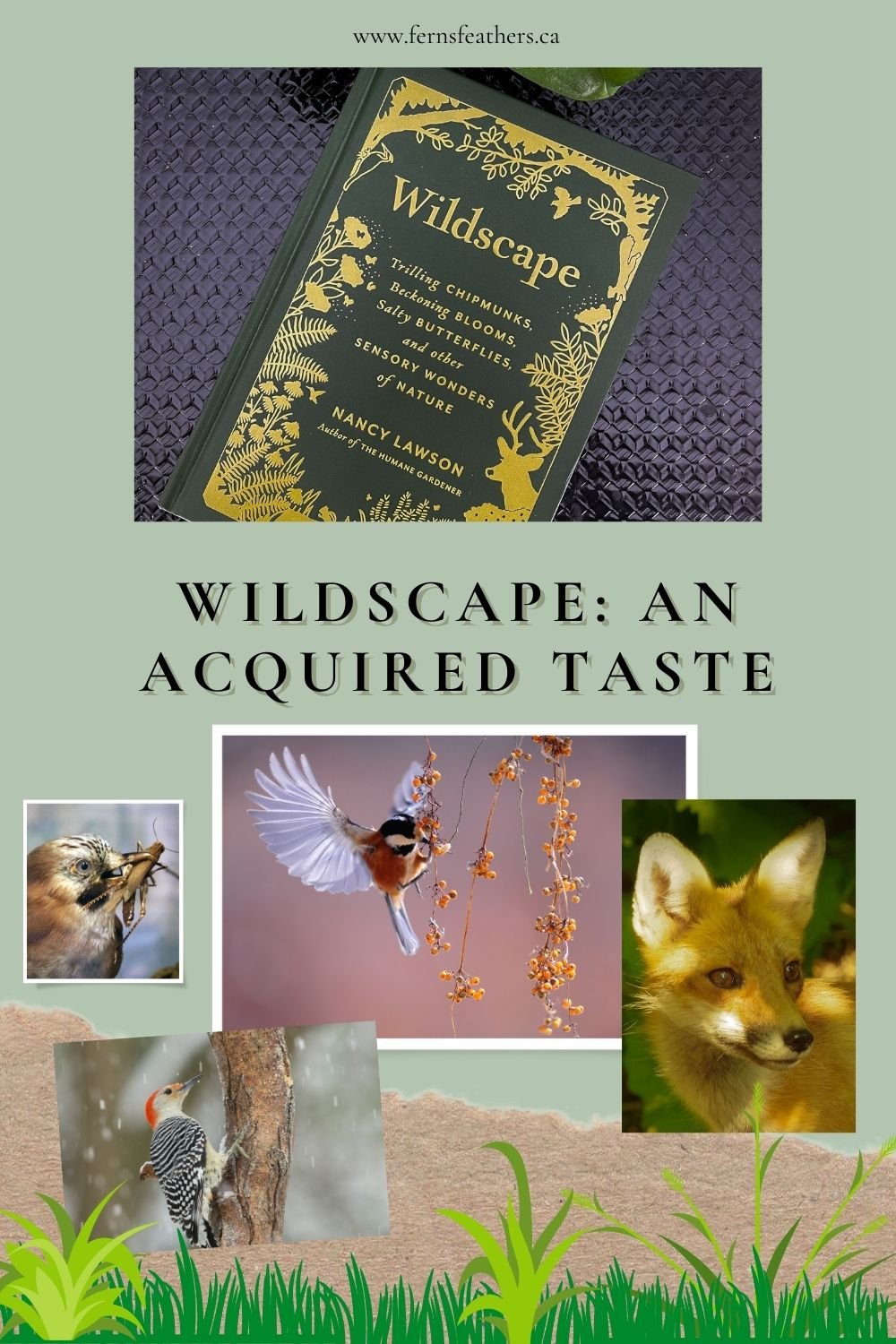Wildscape: Acquiring a taste for the garden