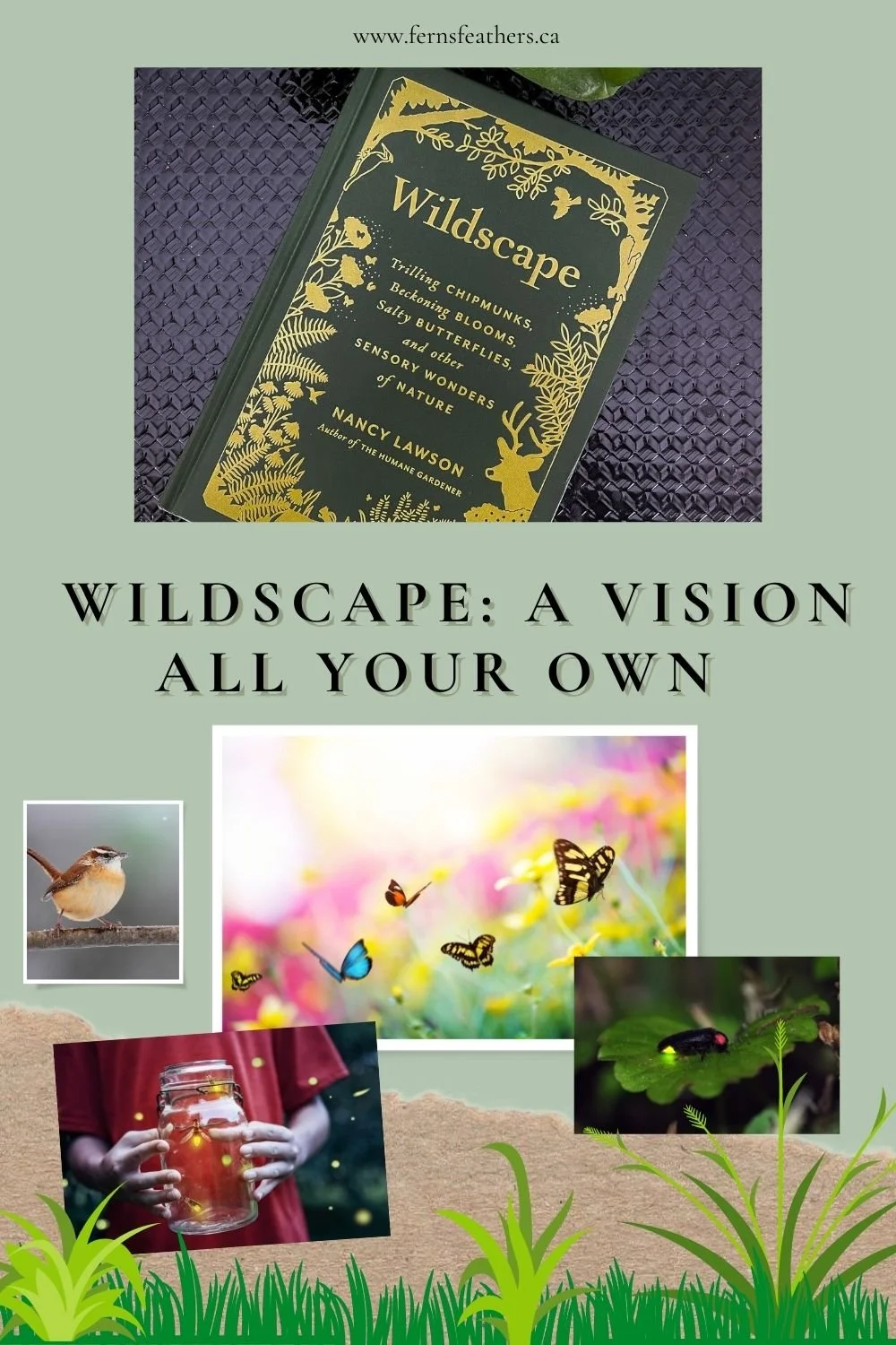 Picture of Wildscape: How to cultivate your own garden vision — FERNS & FEATHERS