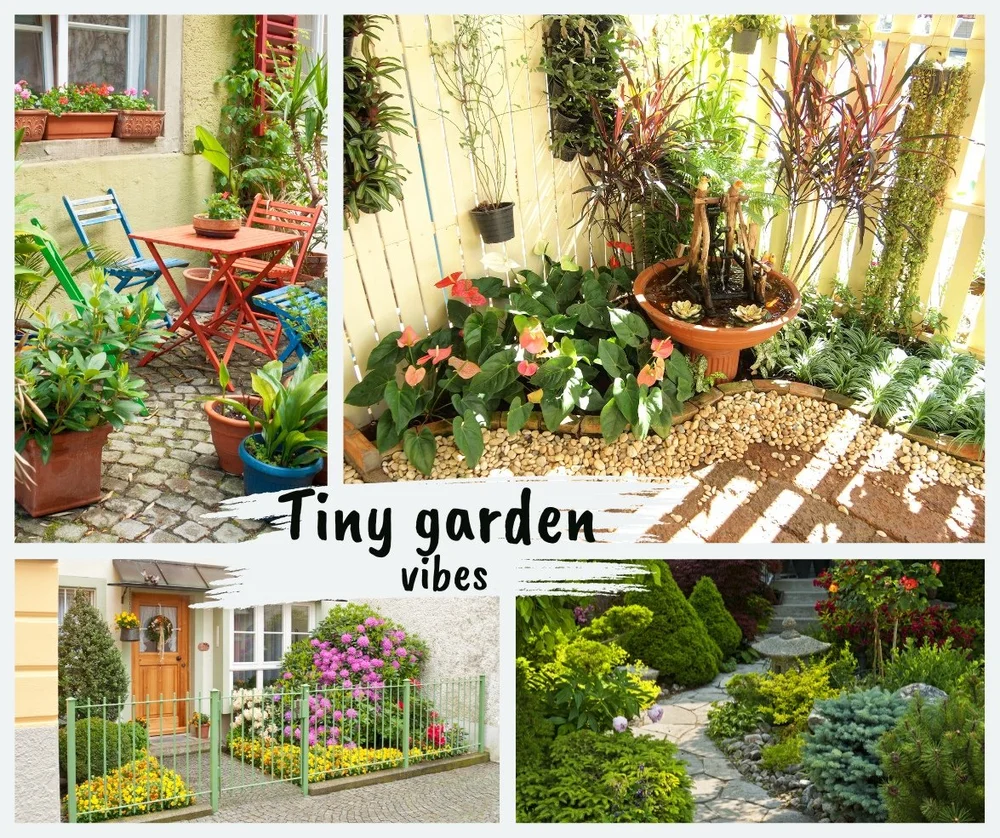 Front yard ideas for gardens big and small — FERNS & FEATHERS