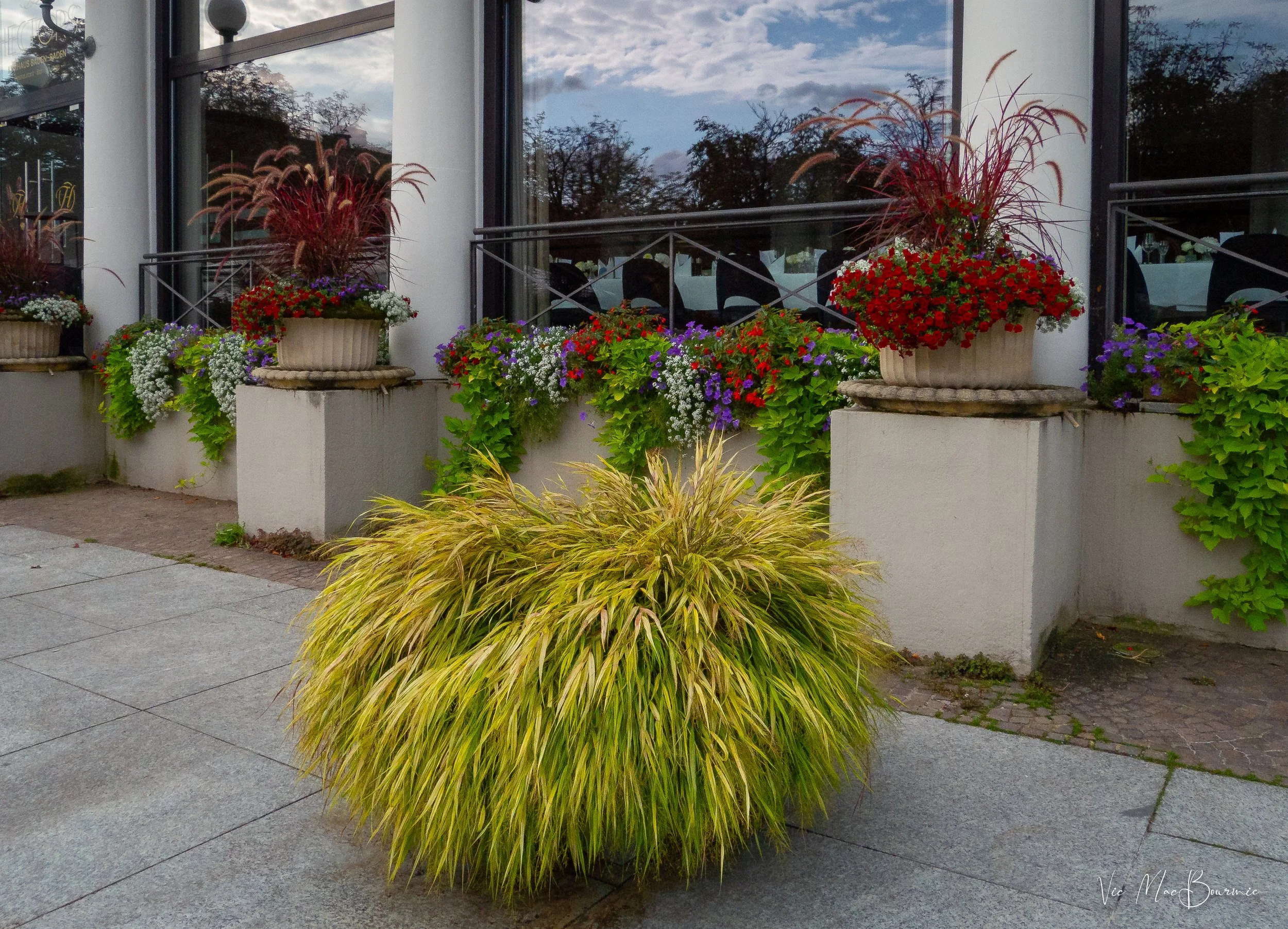 Forest grass containers-1.jpg