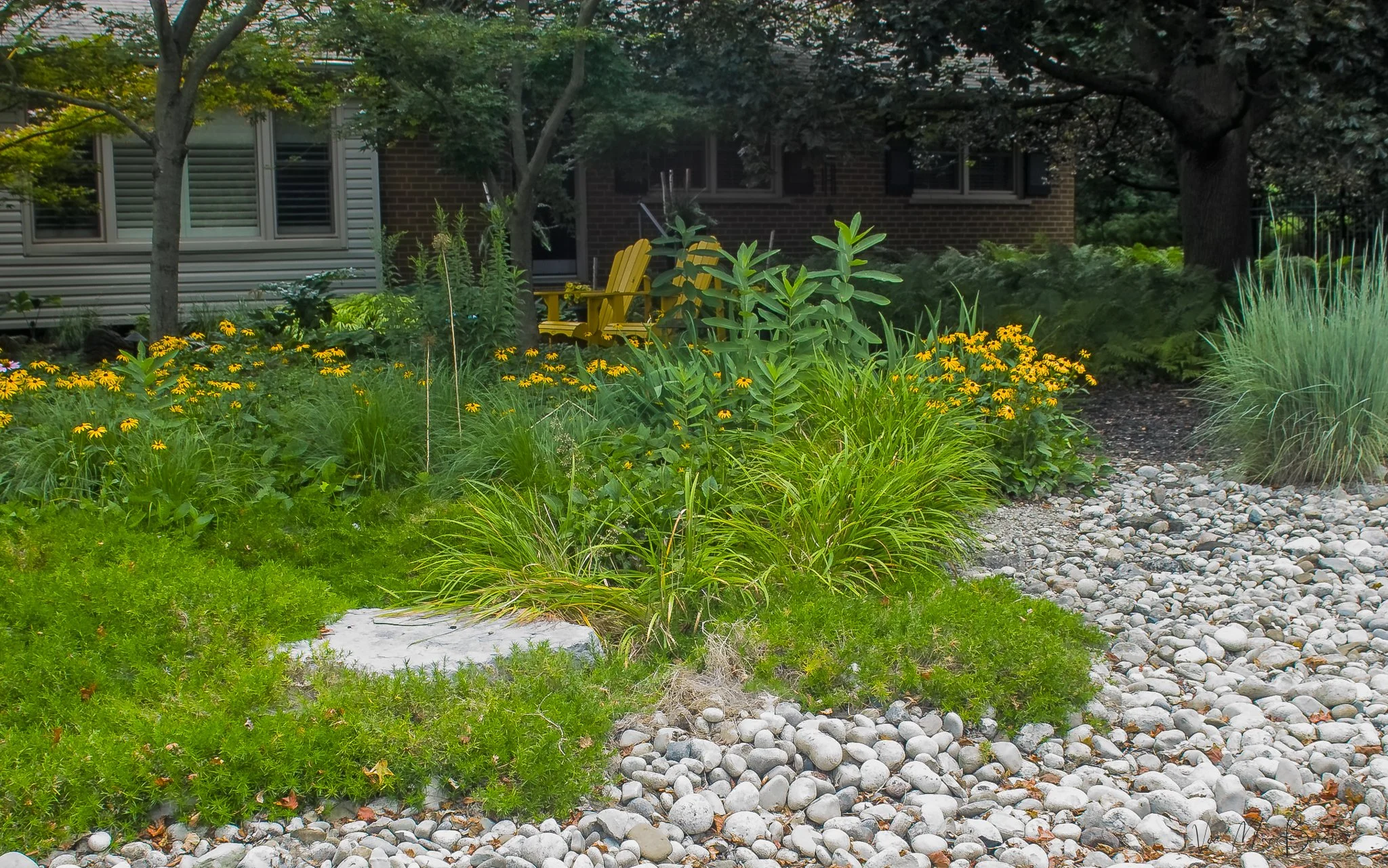 The front garden includes a selection of native and non-native plantings