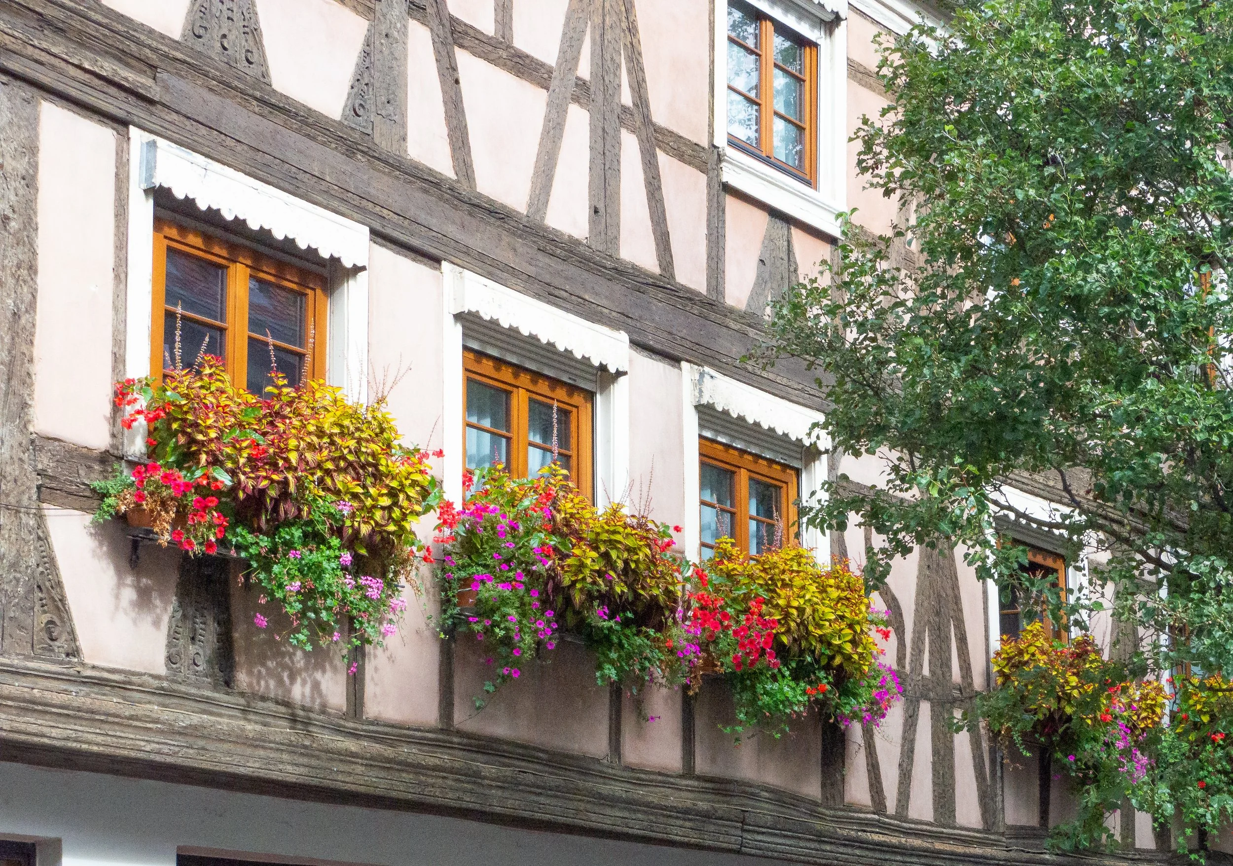 Window boxes4-1.jpg