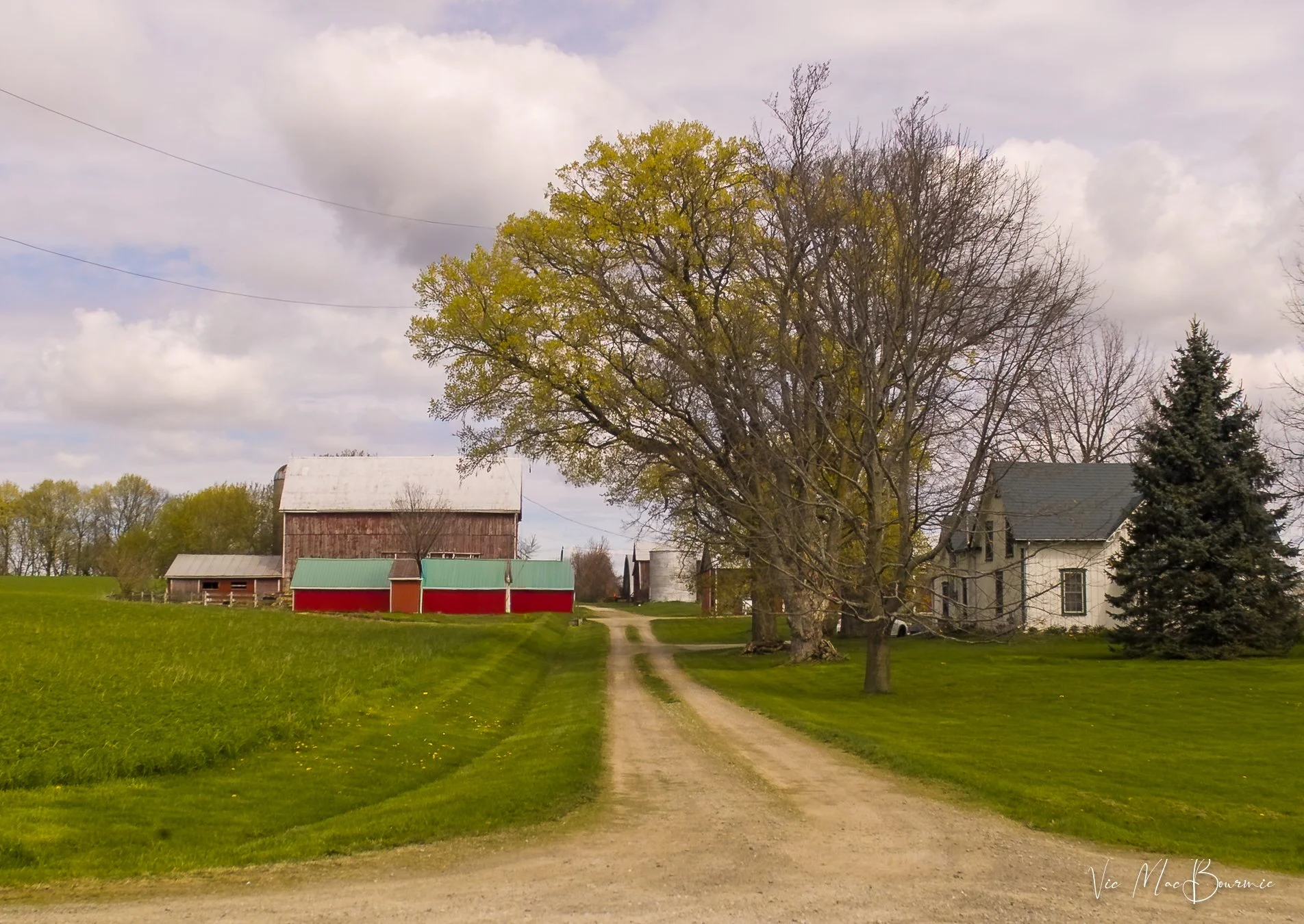 Homestead. Sigma SD10: 1/640 sec/ f5.6/ iso 100/ 26mm.