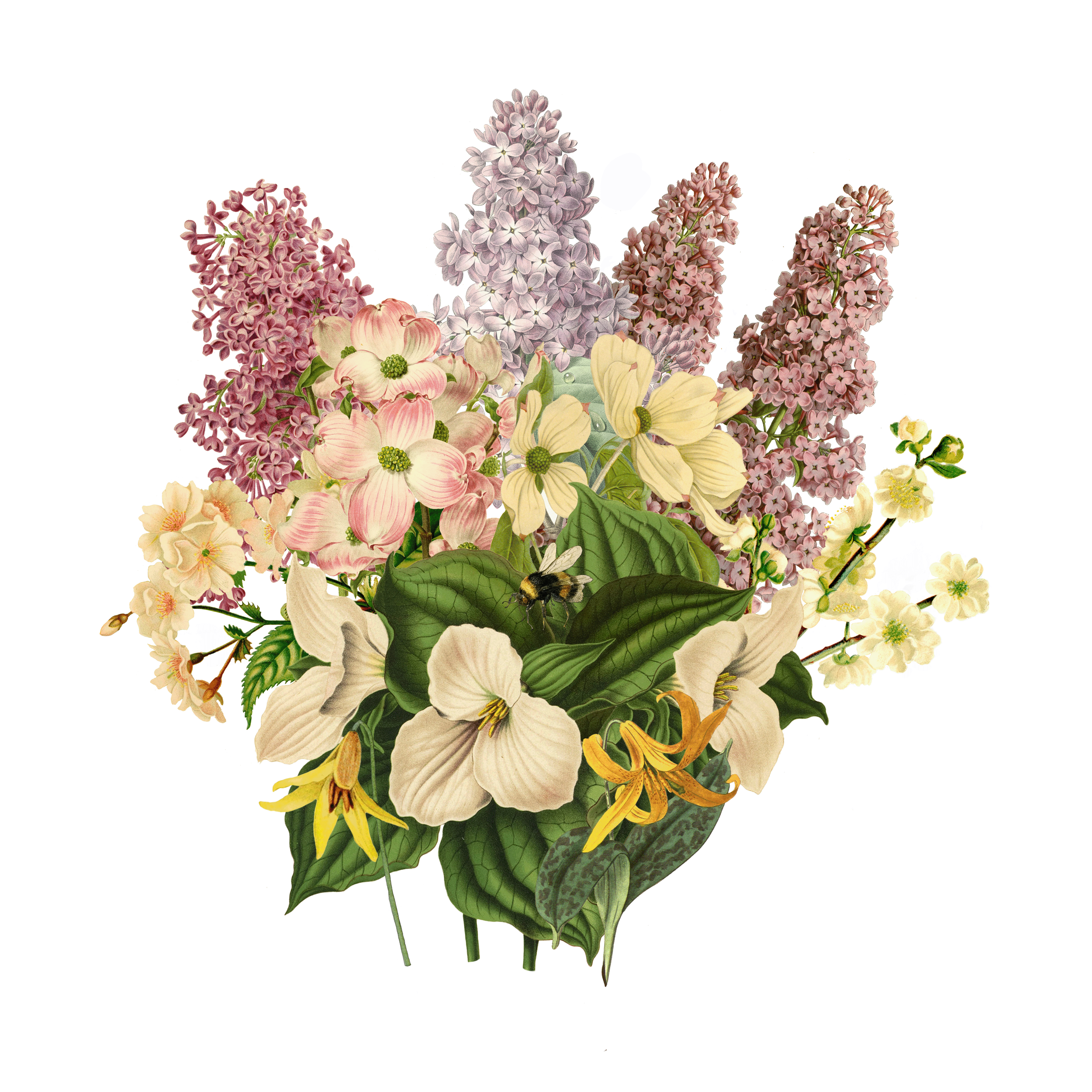 A spring woodland bouquet including trillium, dogwood, lilac, dog-tooth violet and, of course, our native bumble bee.