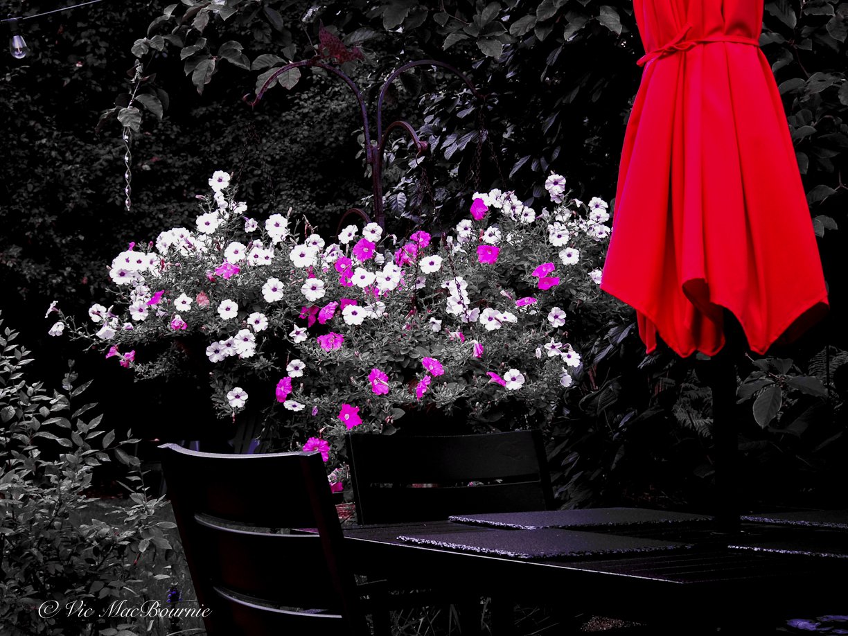 Red umbrella and flowers in B&W image