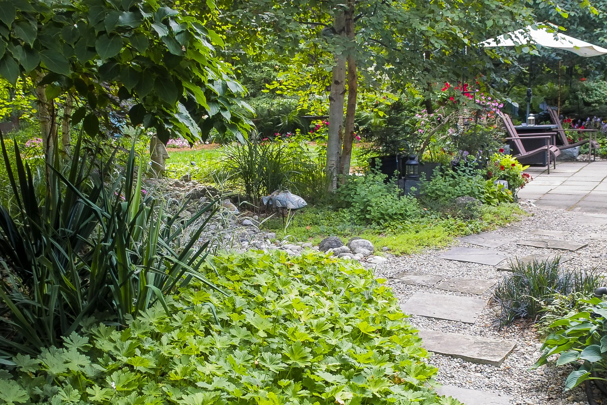 back woodland garden