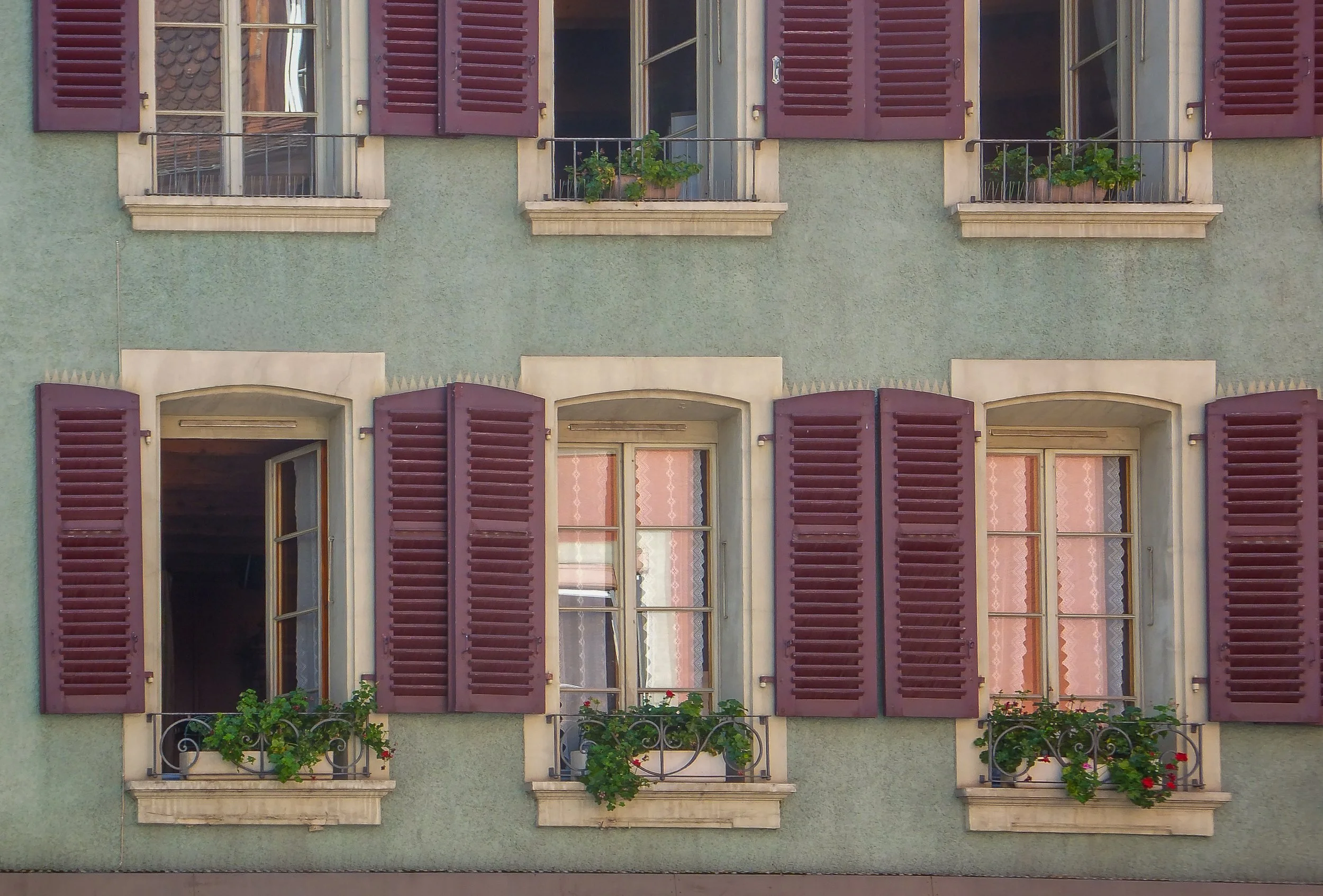 Windows and window boxes2-1.jpg