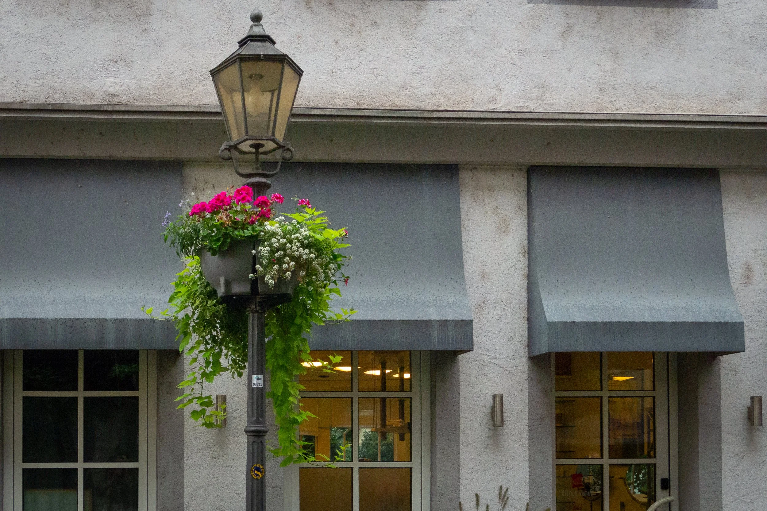 Flowers on light standard good-1.jpg