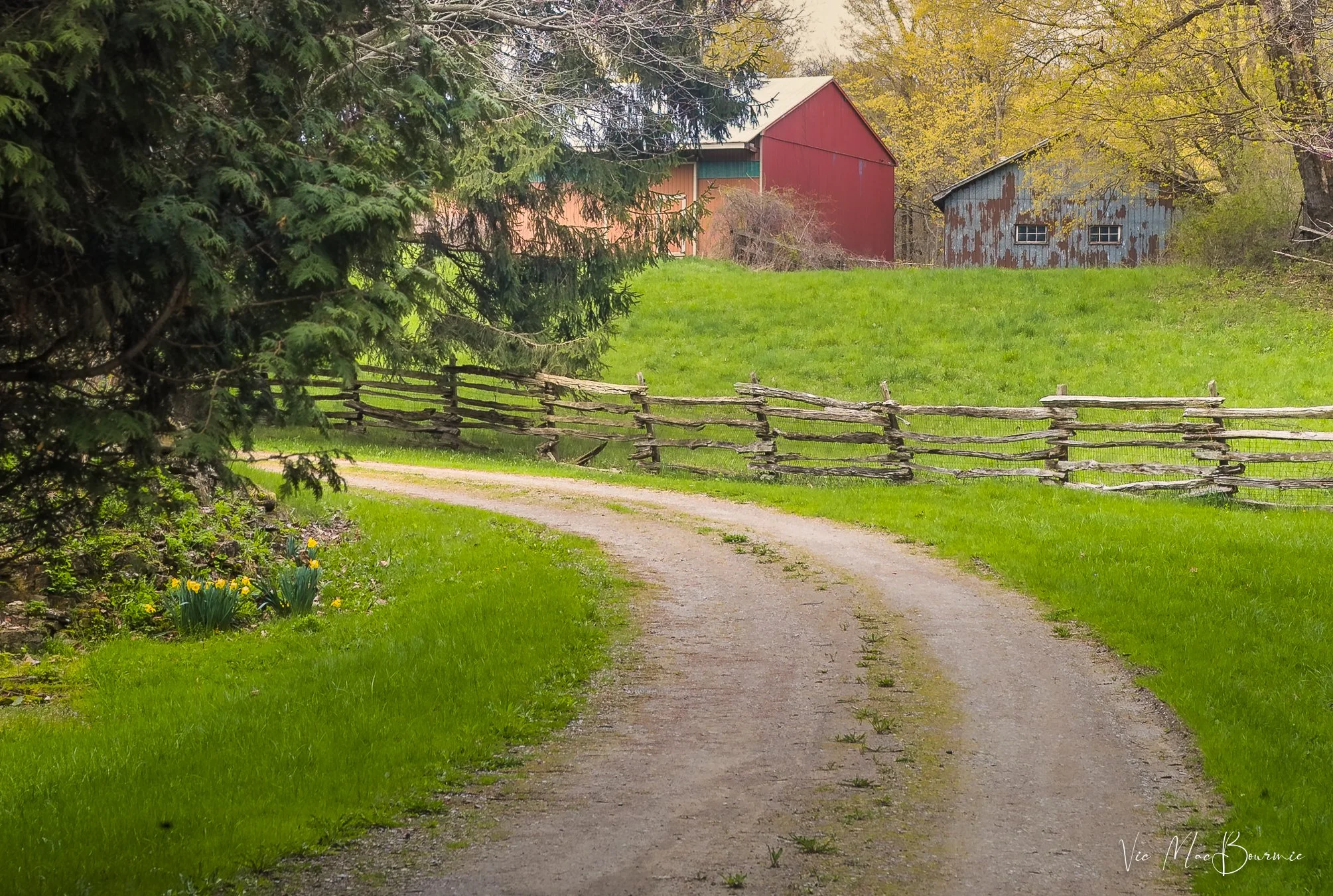 Red Barn in spring2. Sigma SD10: 1/50th sec/ f8/ iso 100.