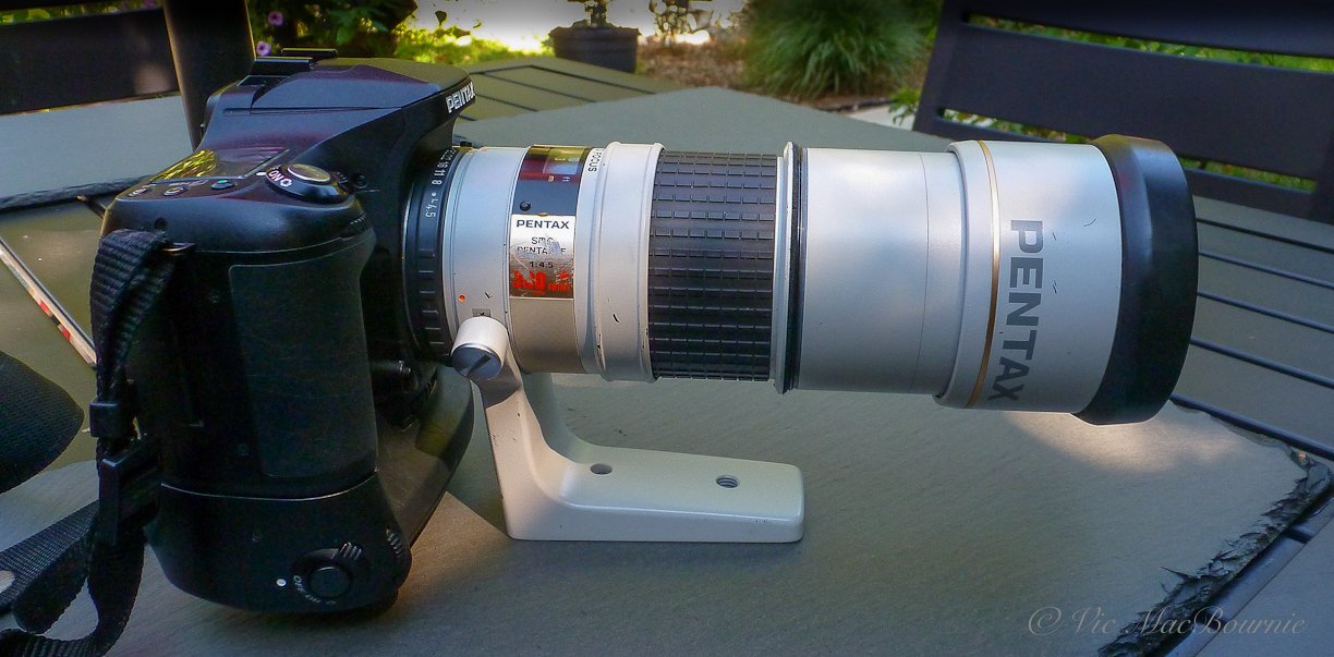 Pentax F* 300mm f4.5 ED IF: My favourite wildlife lens Pentax F* 300mm f4.5 ED IF: My favourite wildlife lens