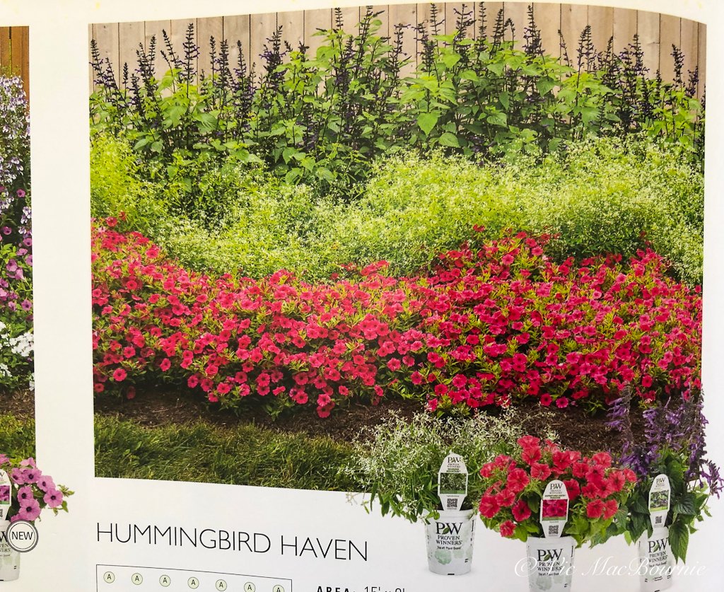 Proven Winners provides gardener's with a hummingbird garden.