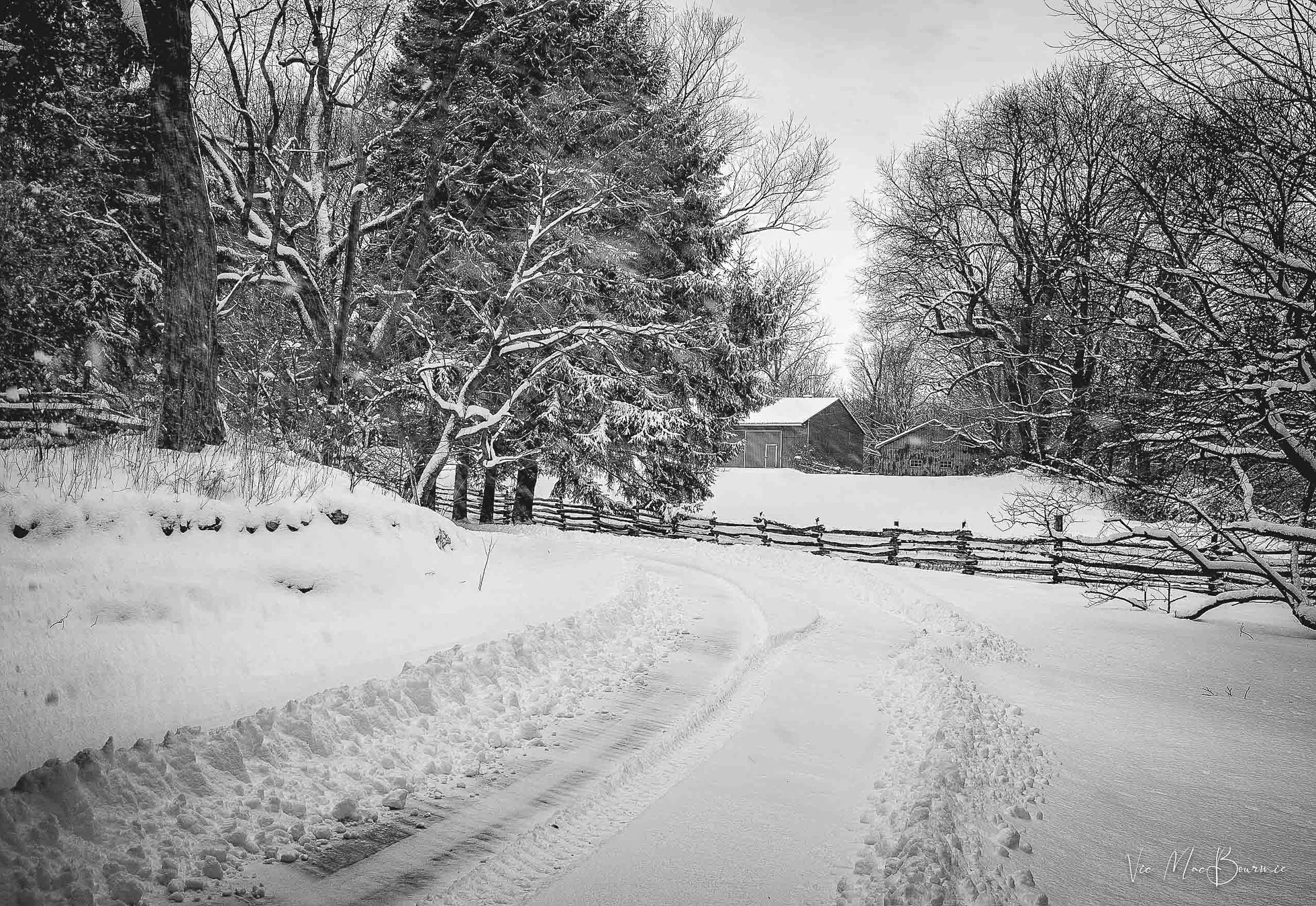 Red barn in B&W. Sigma DP2: 200 sec/ f6.3/ iso 100.