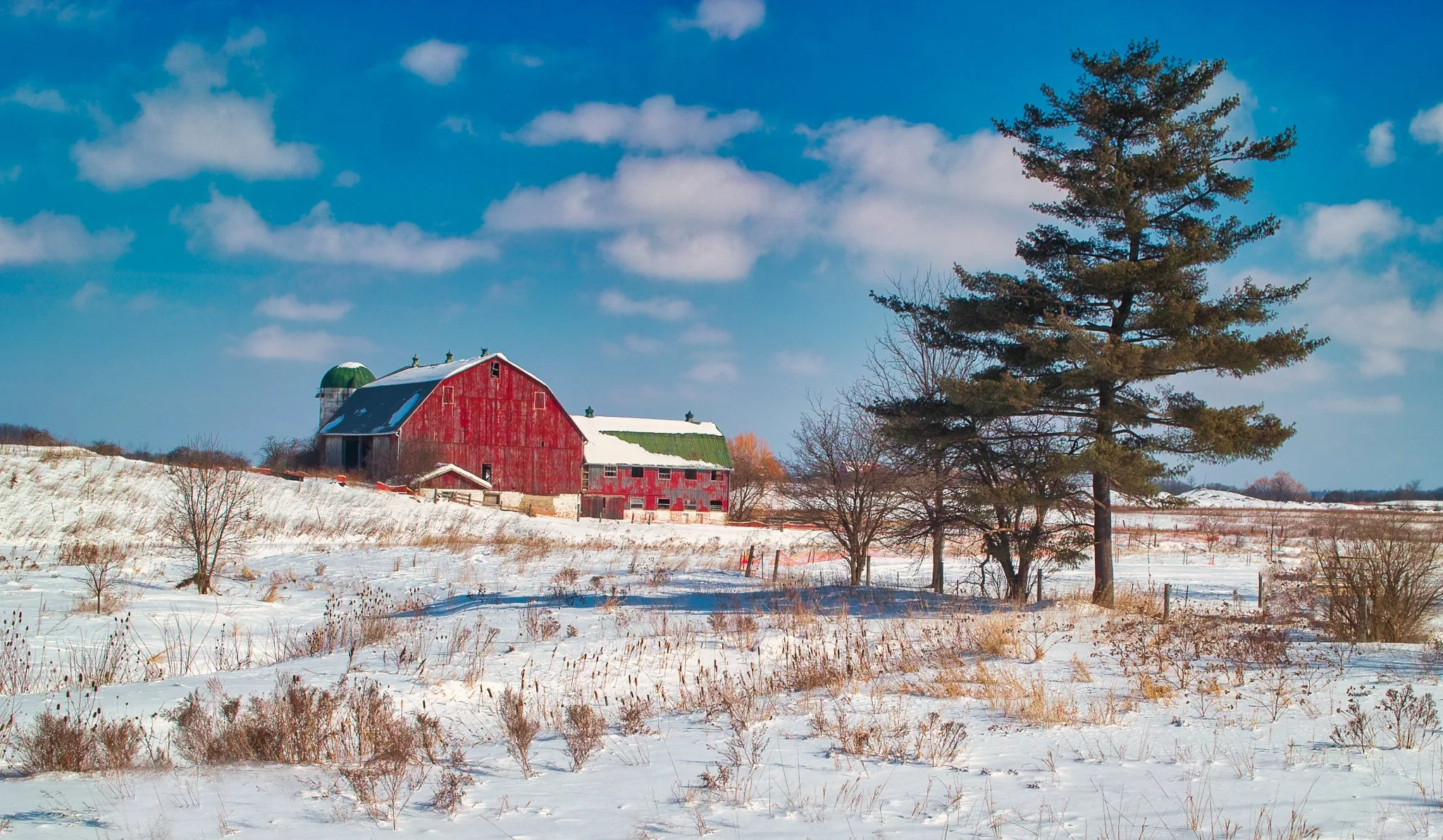 Red barn and pine. Sigma DP2: 400 sec/ f9.9/ iso 100