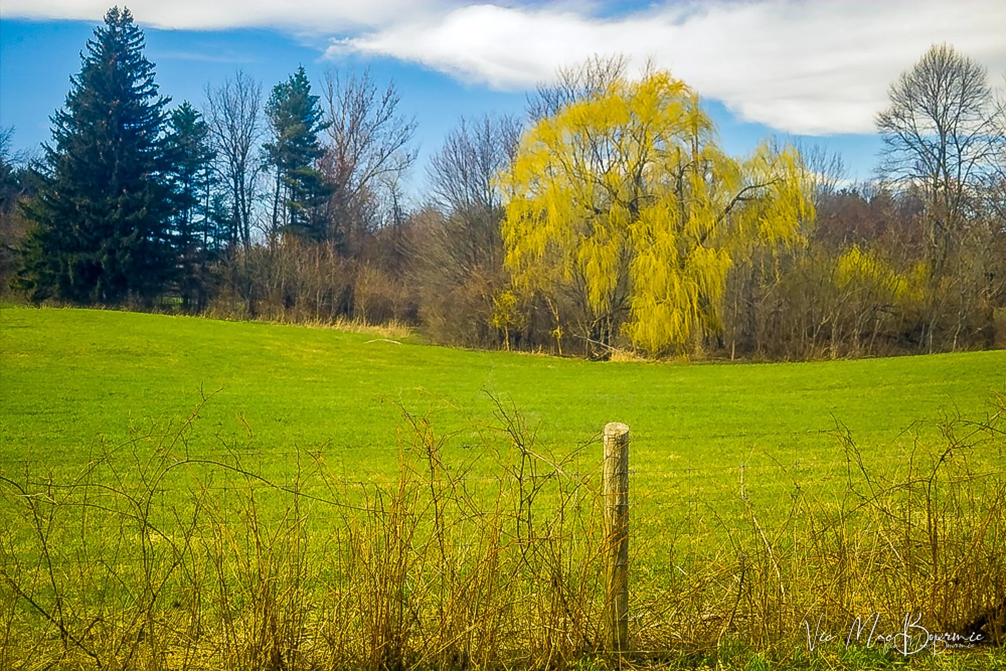 The Sigma SD10 with its Foveon sensor is an idea camera to capture detailed landscapes.