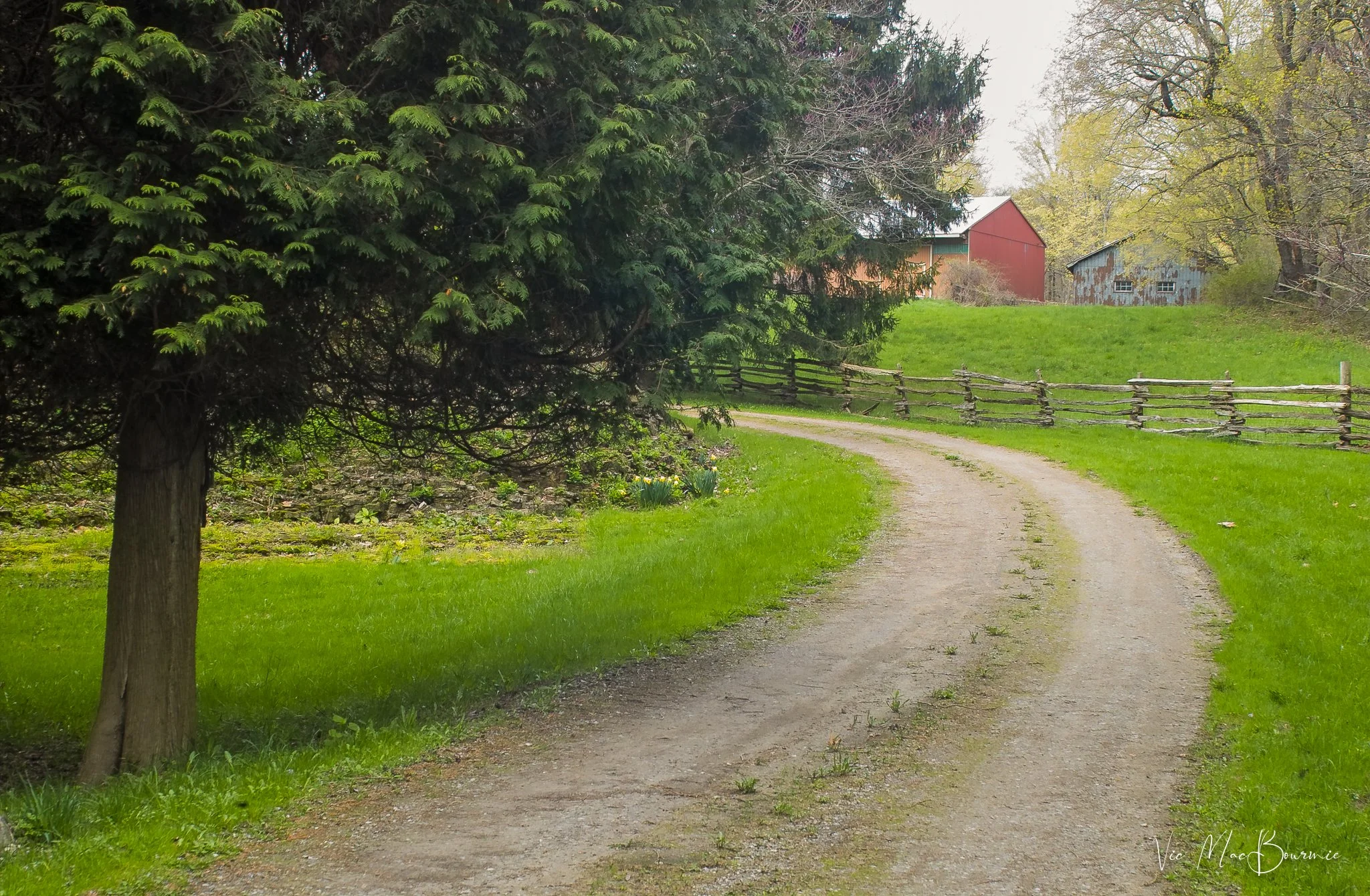 Red Barn in spring. Sigma DP10: 1/30th sec/ f8/ iso 100.