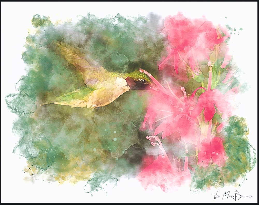 Digital imge of a hummingbird