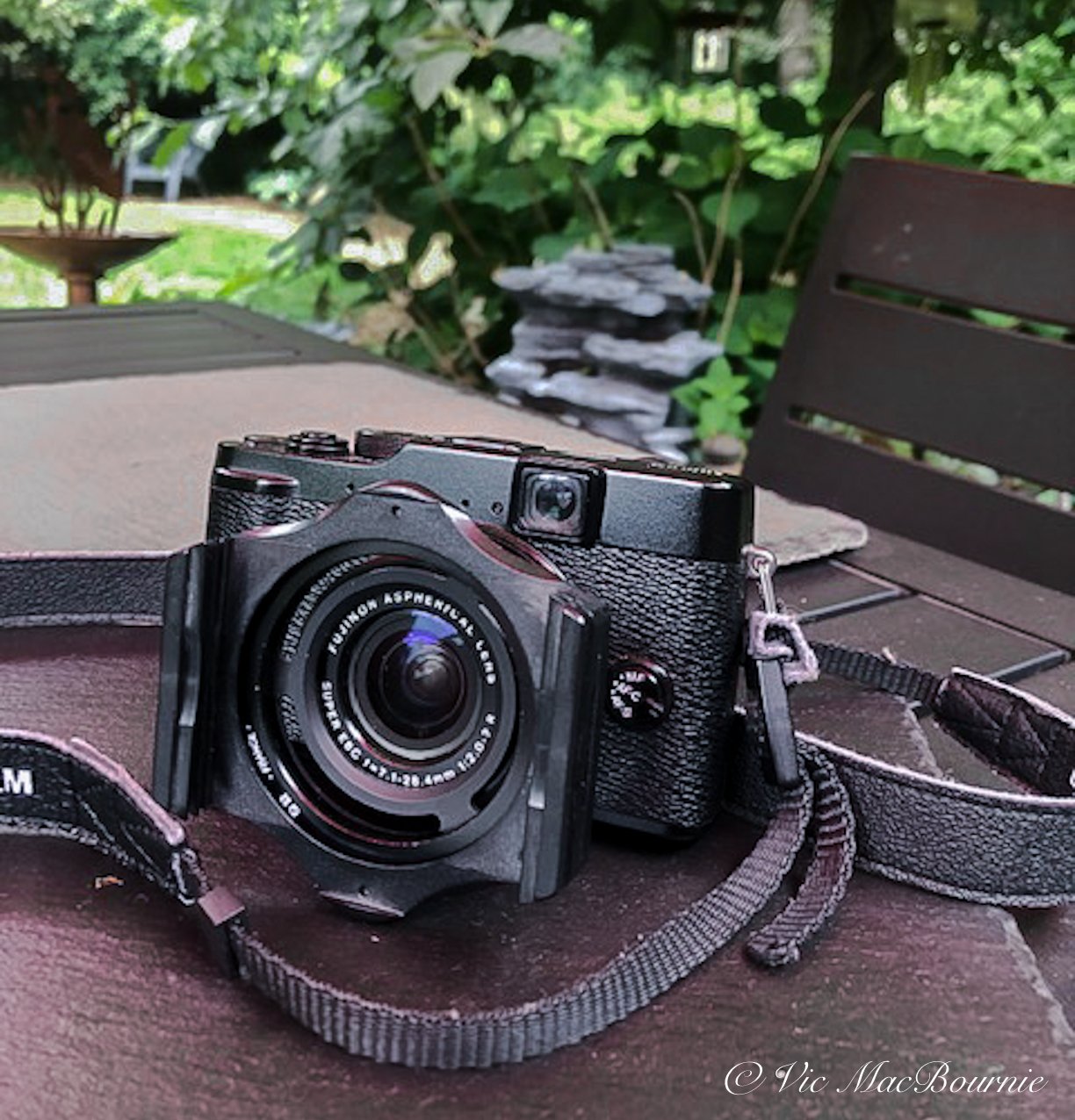 Verslaafd Uiterlijk Monetair Ten year review: Fujifilm X10 is ideal camera for garden photography —  FERNS & FEATHERS