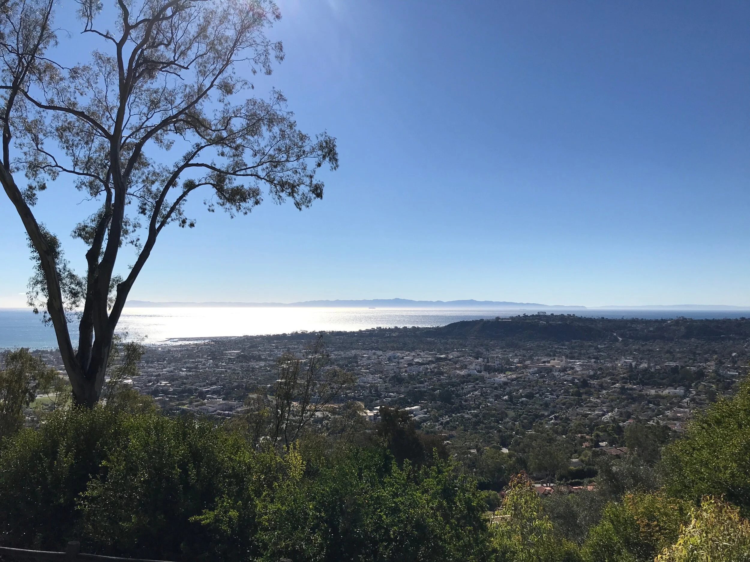 Let's Focus on What IS Working! by Lucy