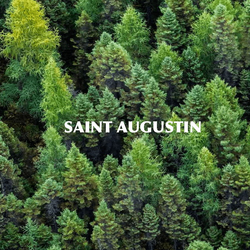 Saint Augustin