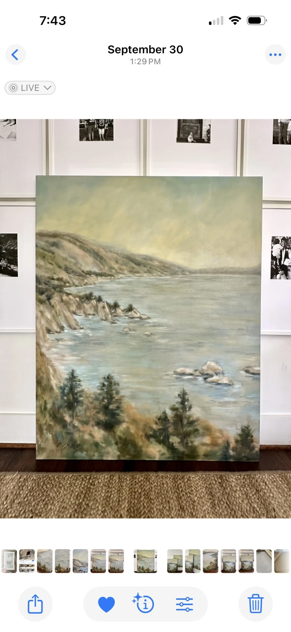 Big Sur 48x60