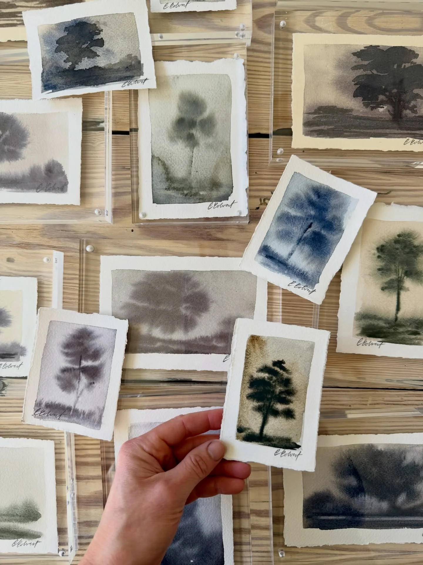 BLACK FRIDAY (aka the day after &ldquo;Thanks&rdquo; giving)
Rereading a favorite book and consciously making the effort to hold on to Thanksgiving in the midst of the sales and promos that fill my inbox. Sure, I&rsquo;ve shopped a few deals, but I d