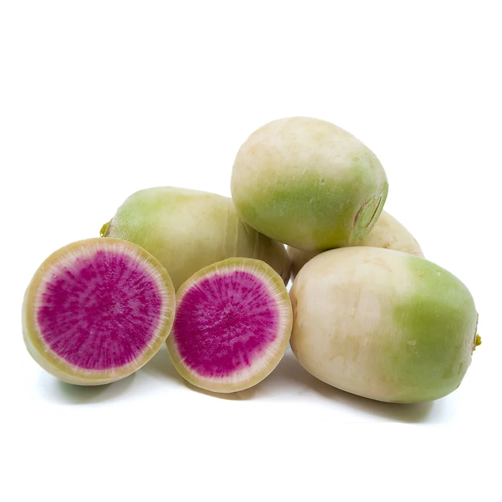 09416 Raddish Watermelon.jpg