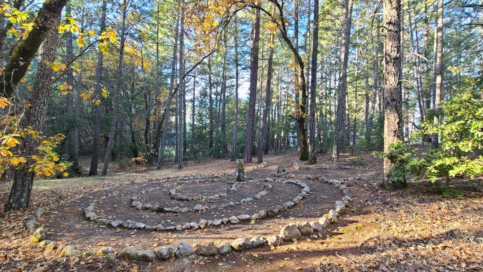 Labyrinth