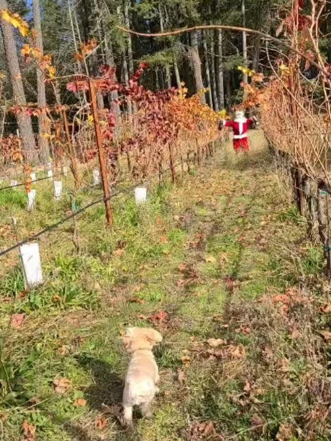 Merry Christmas to you and your family 🎄