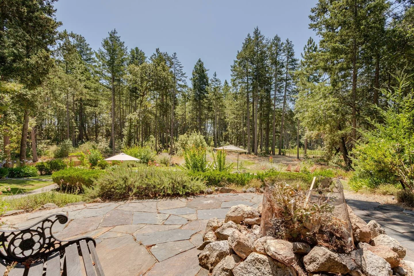 Fire Pit.jpg