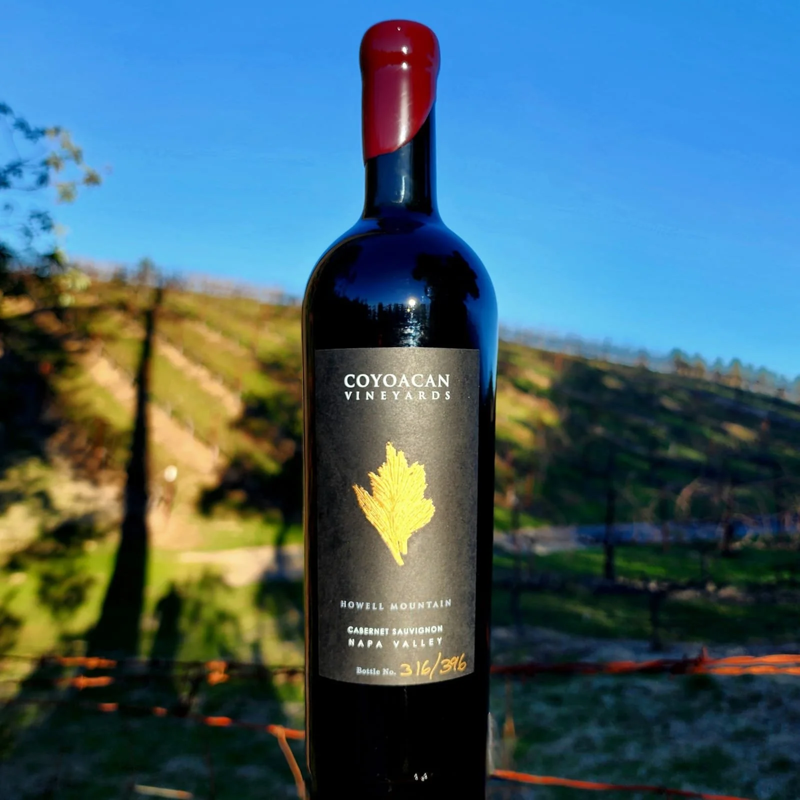 6 Pack Cabernet Sauvignon, Single or Mixed