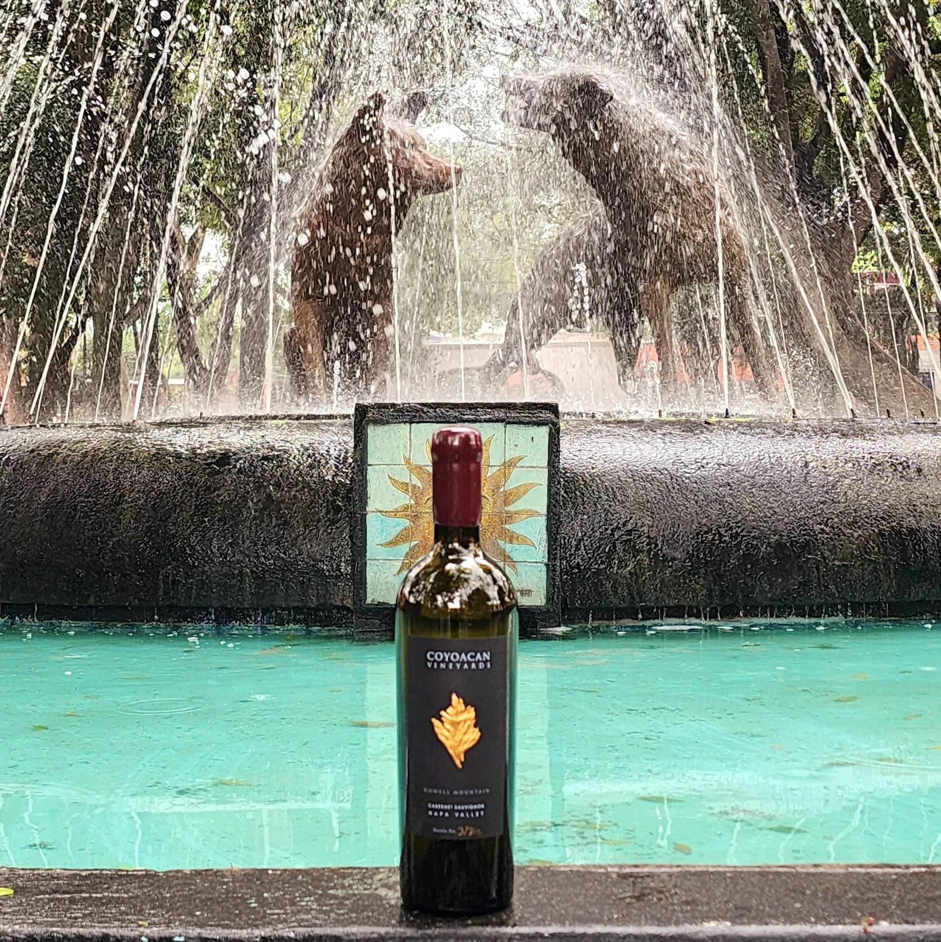 12 Pack Cabernet Sauvignon, Single or Mixed