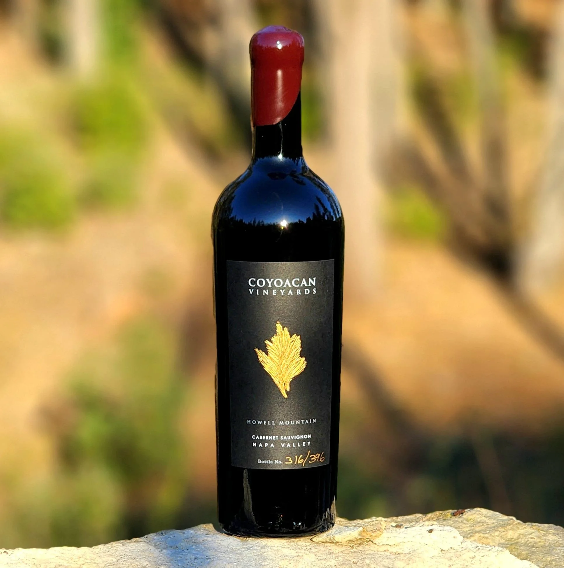 4 Pack Cabernet Sauvignon, Single or Mixed