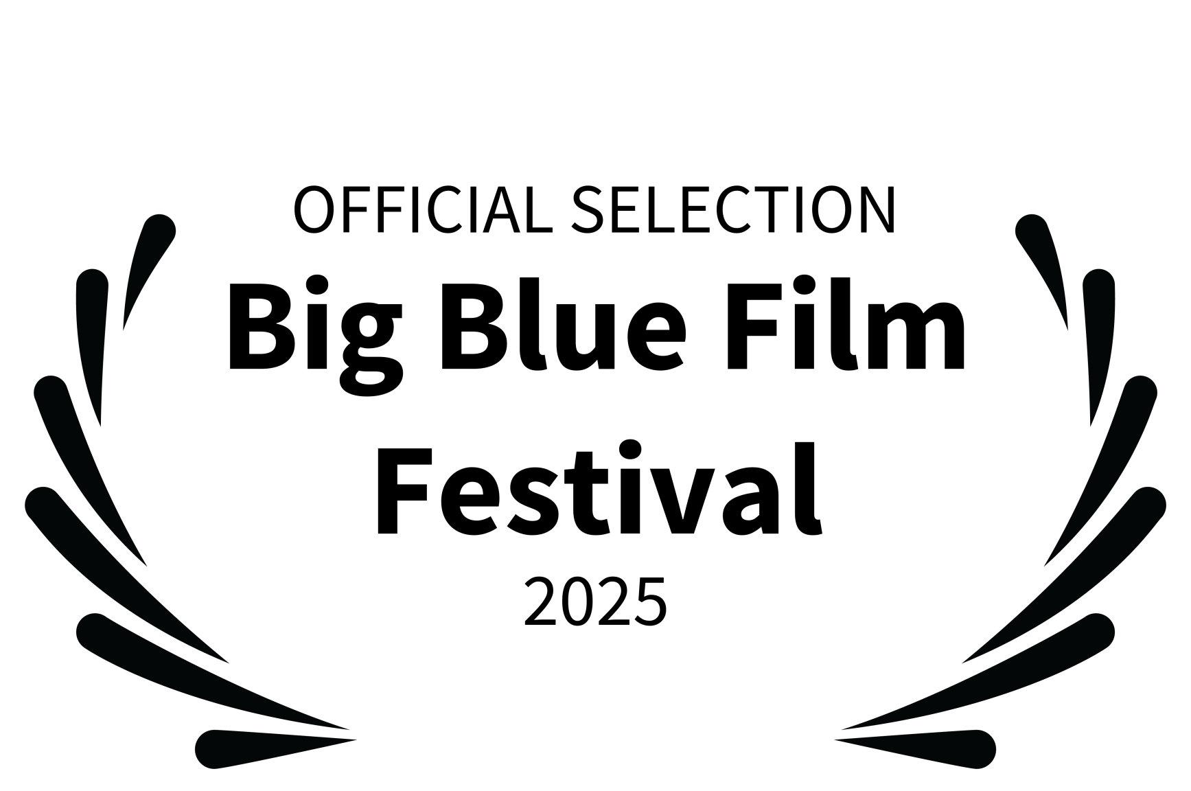 Big Blue Film Festival 2025